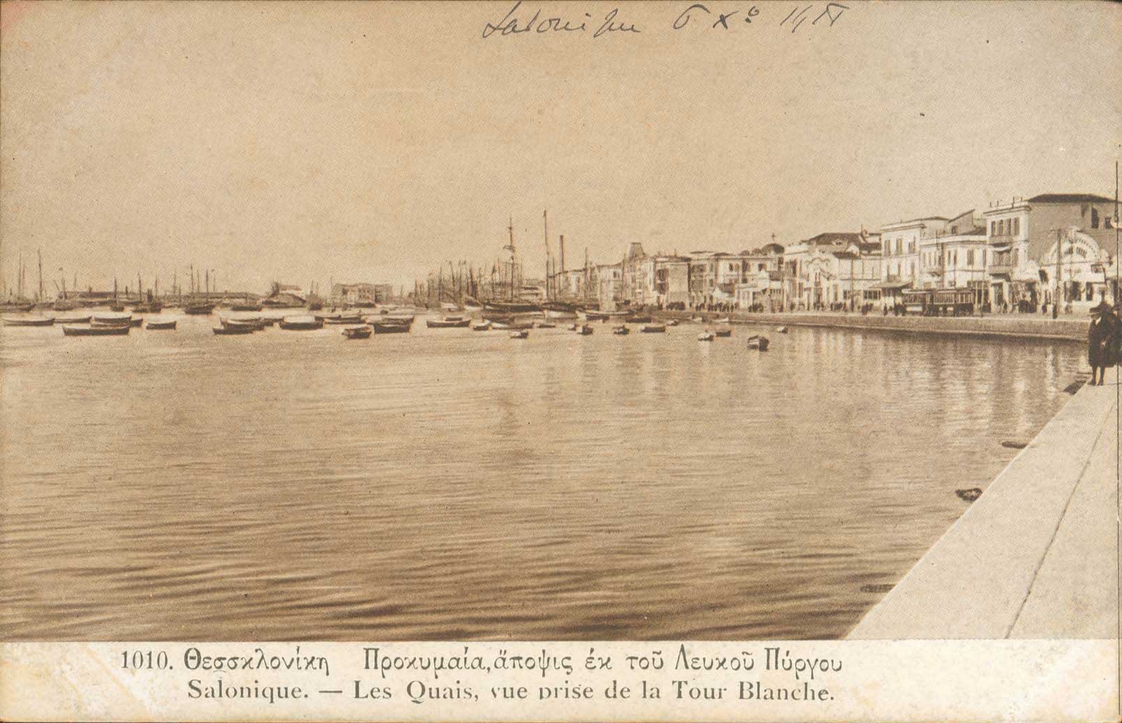Lot 01831