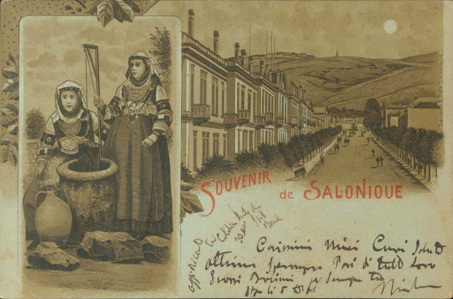 Lot 01818