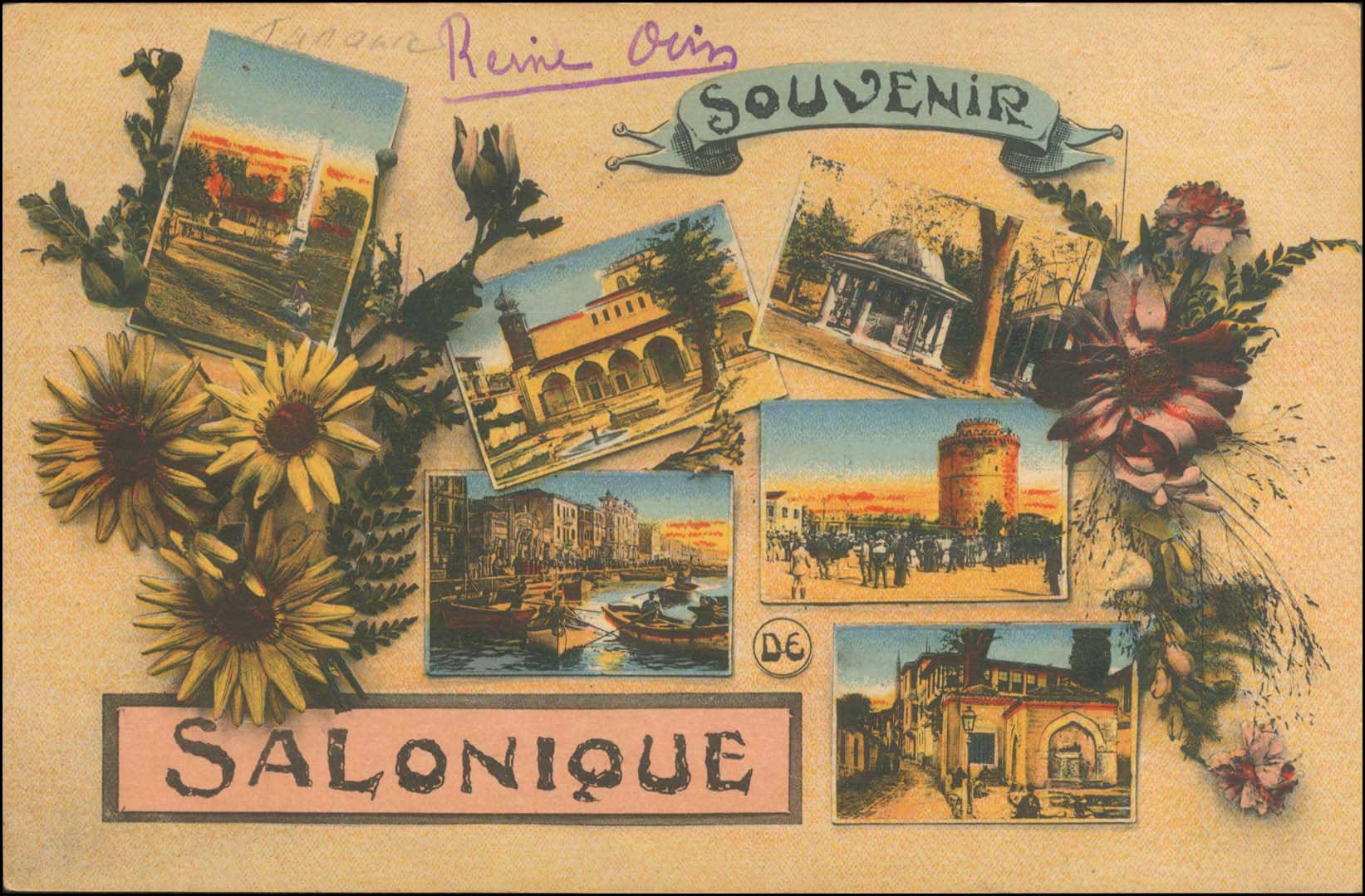 Lot 01810