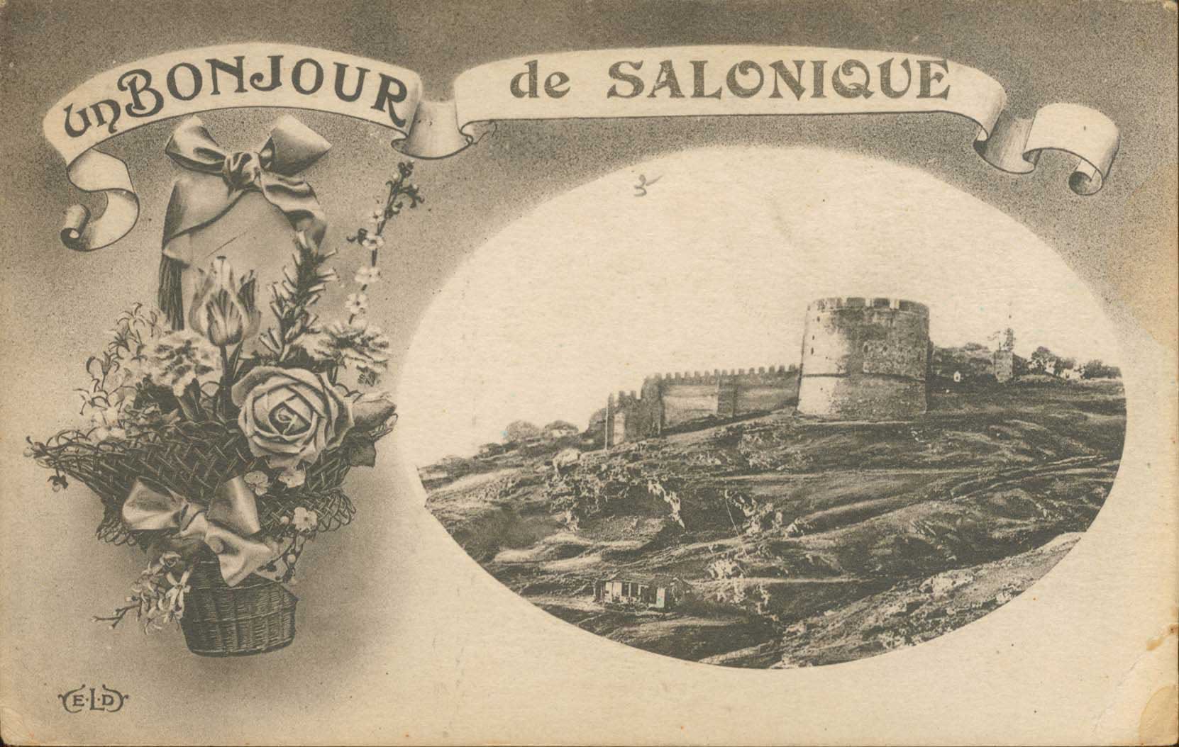 Lot 01815