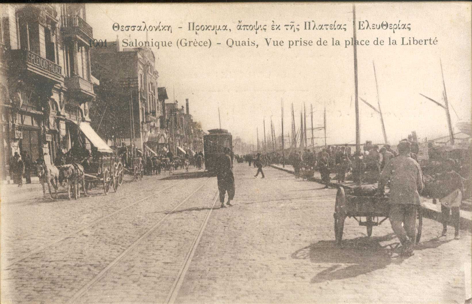 Lot 01676