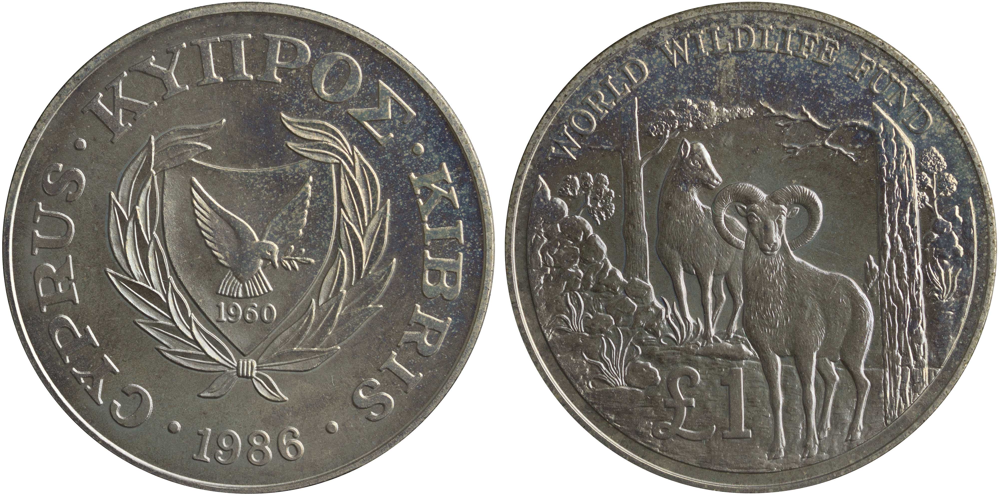Lot 06561
