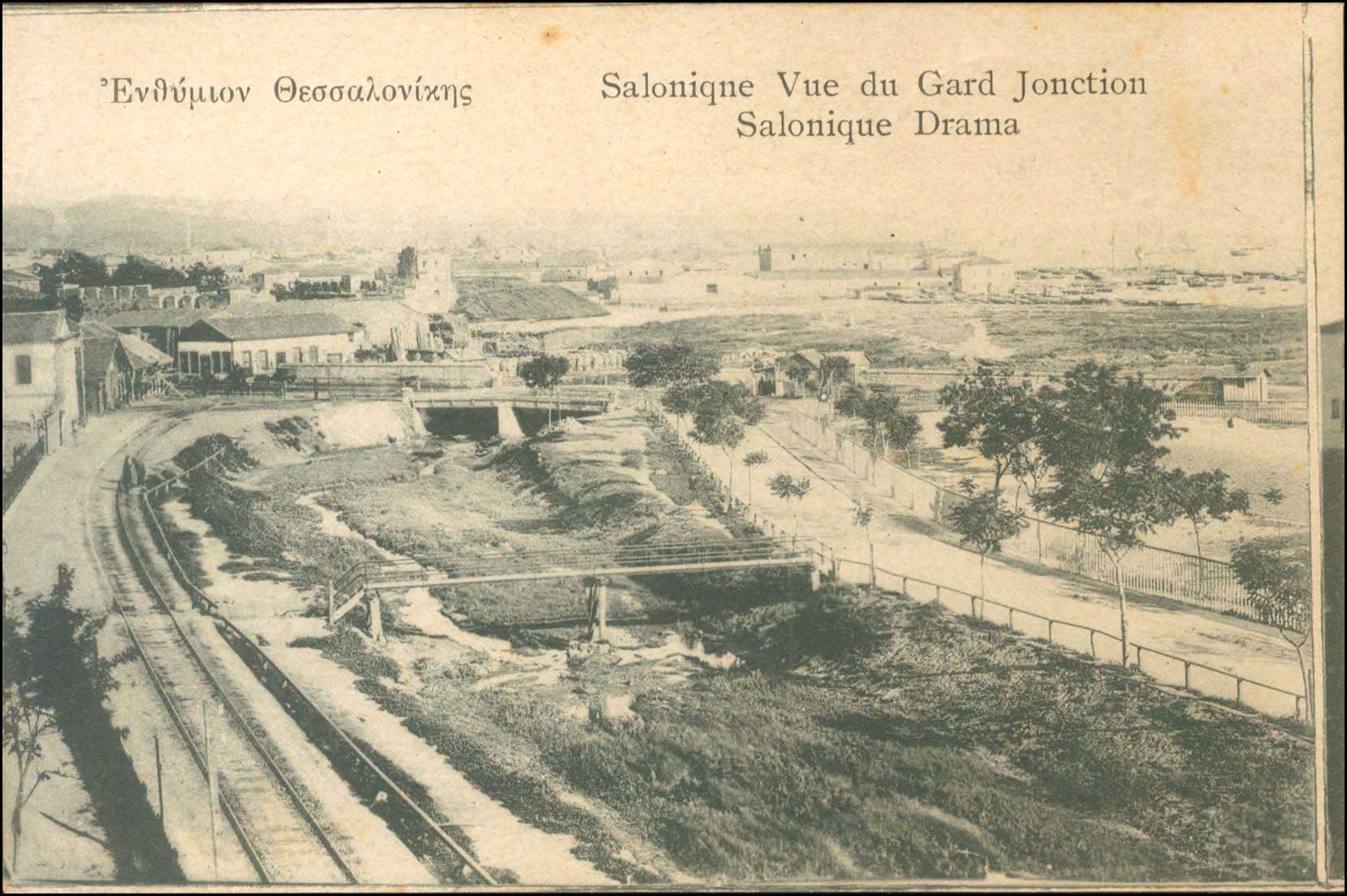 Lot 01672