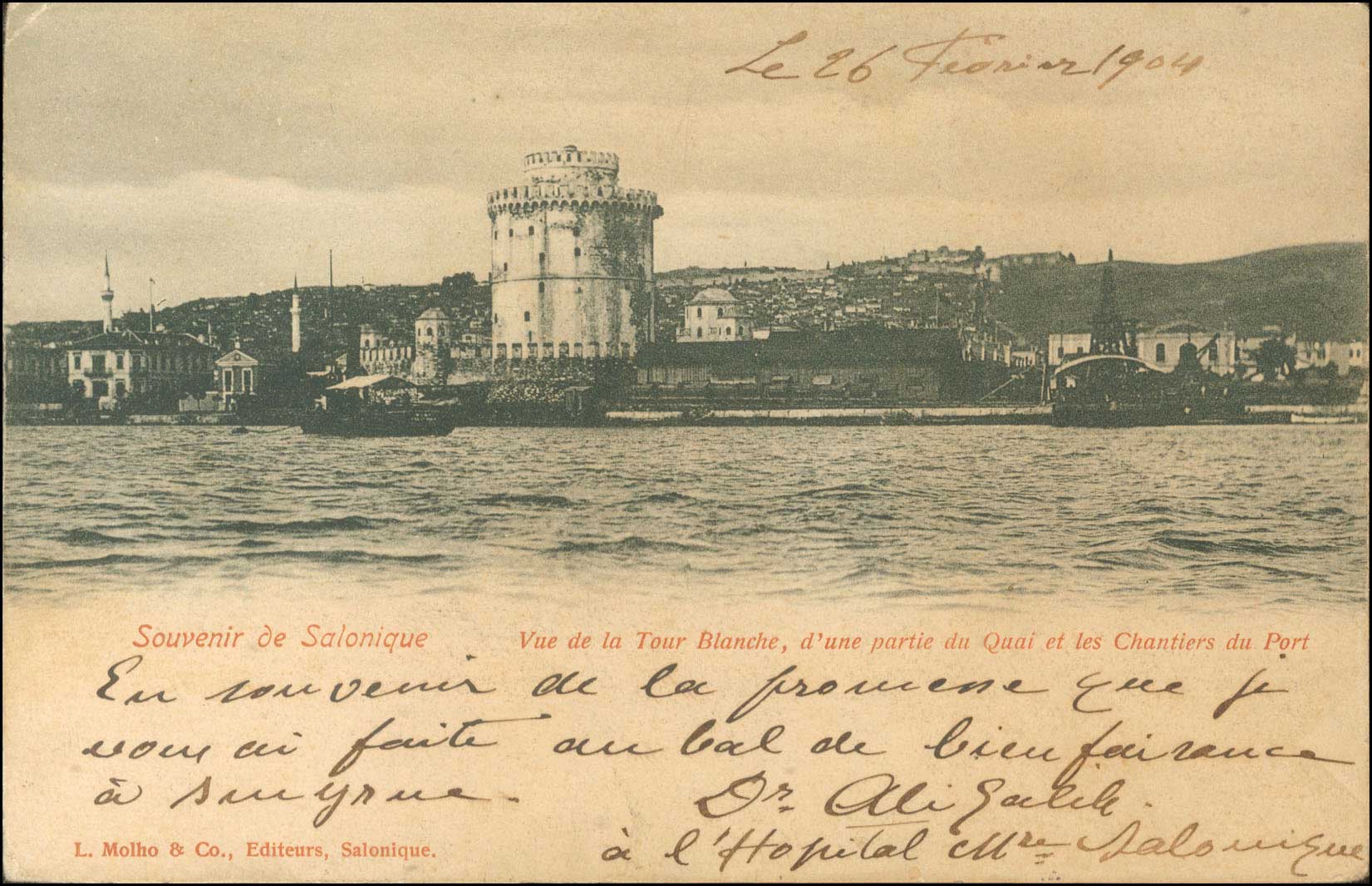 Lot 01737