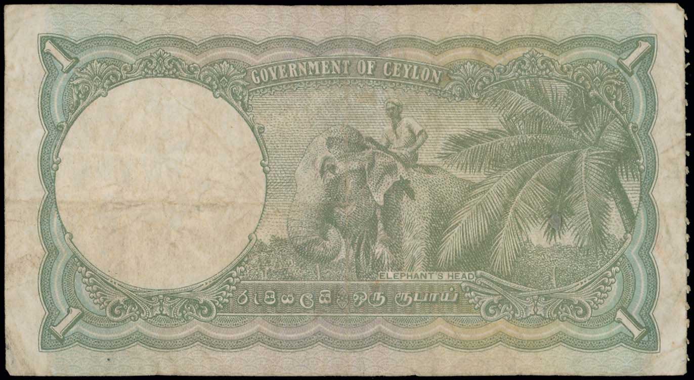 Lot 07646