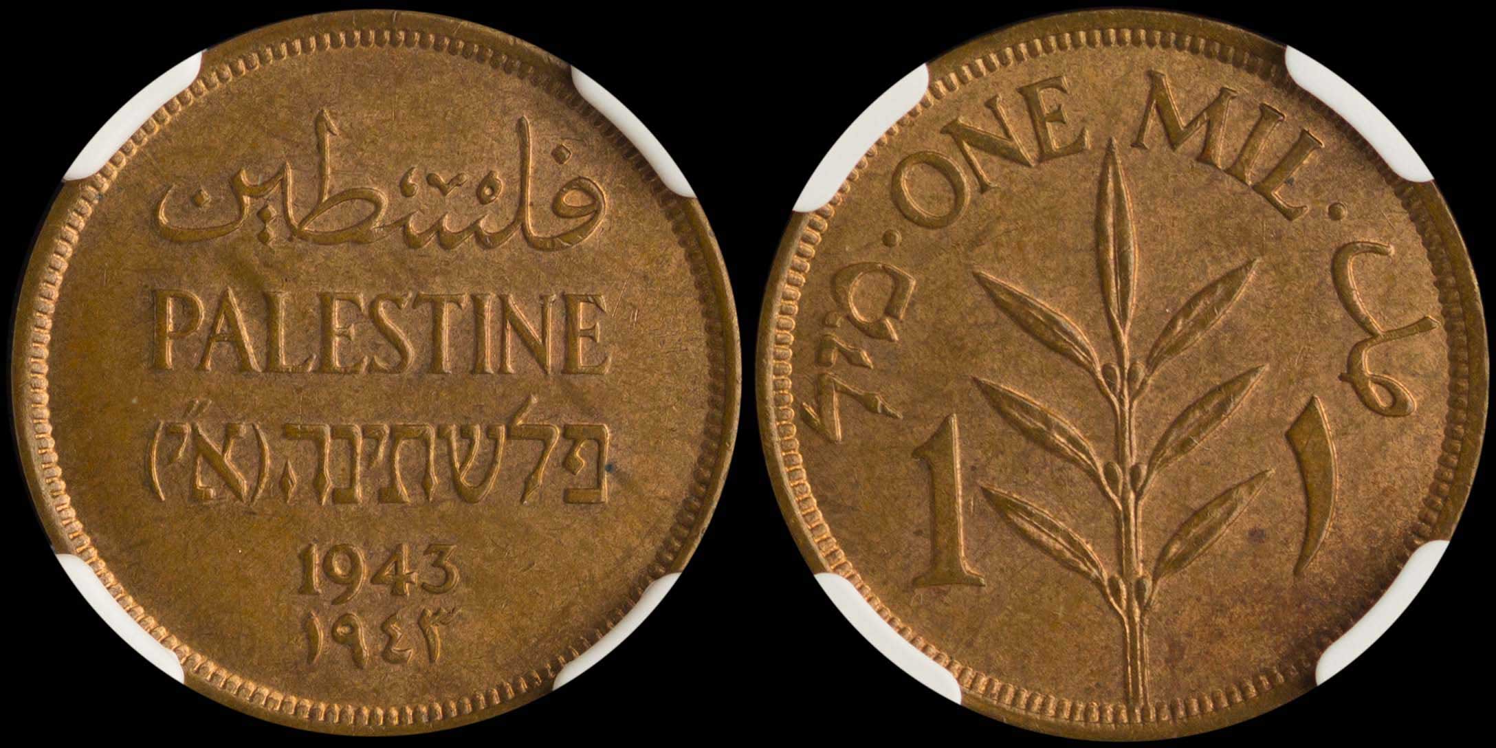 Lot 07351