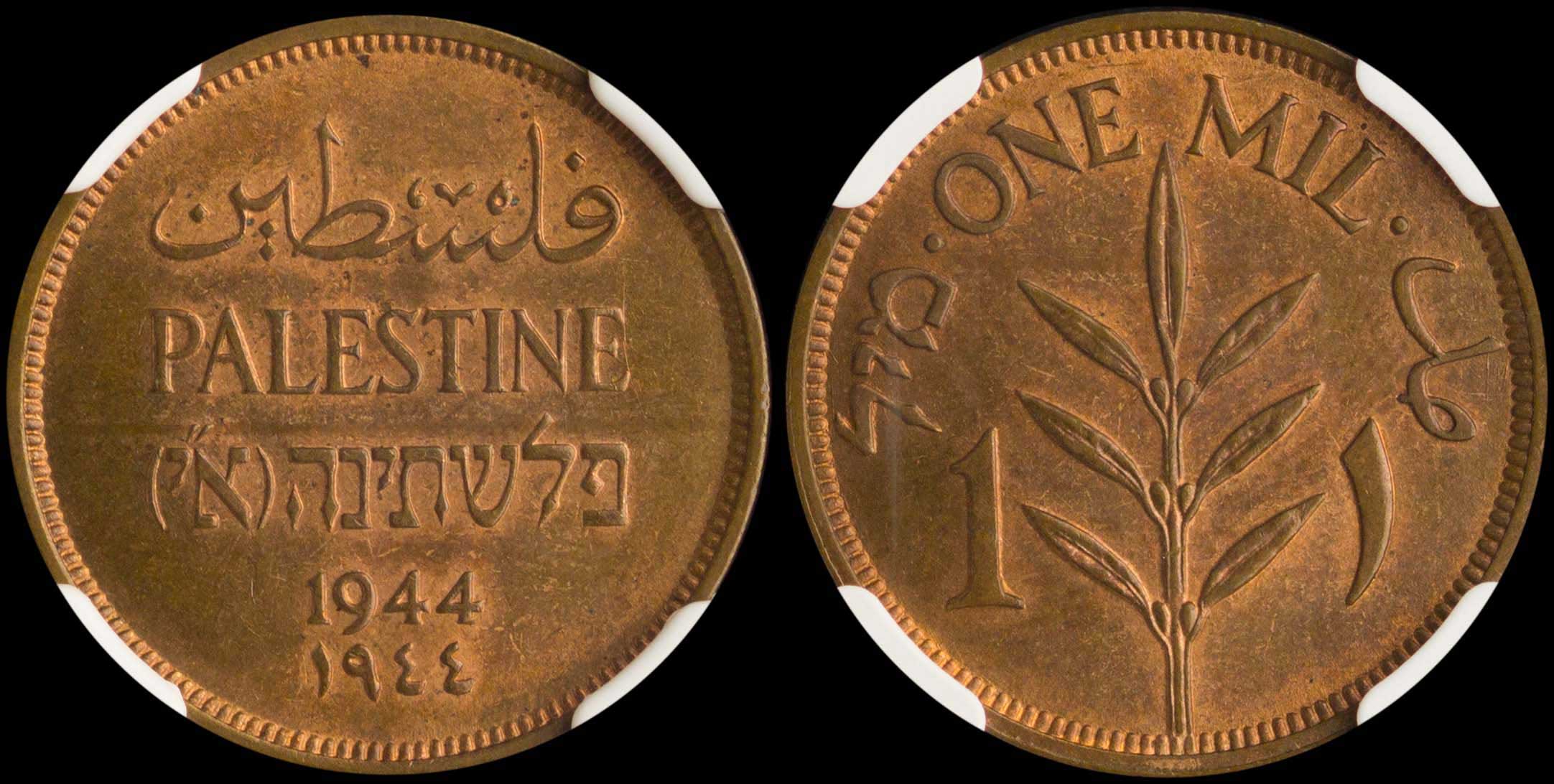 Lot 07352