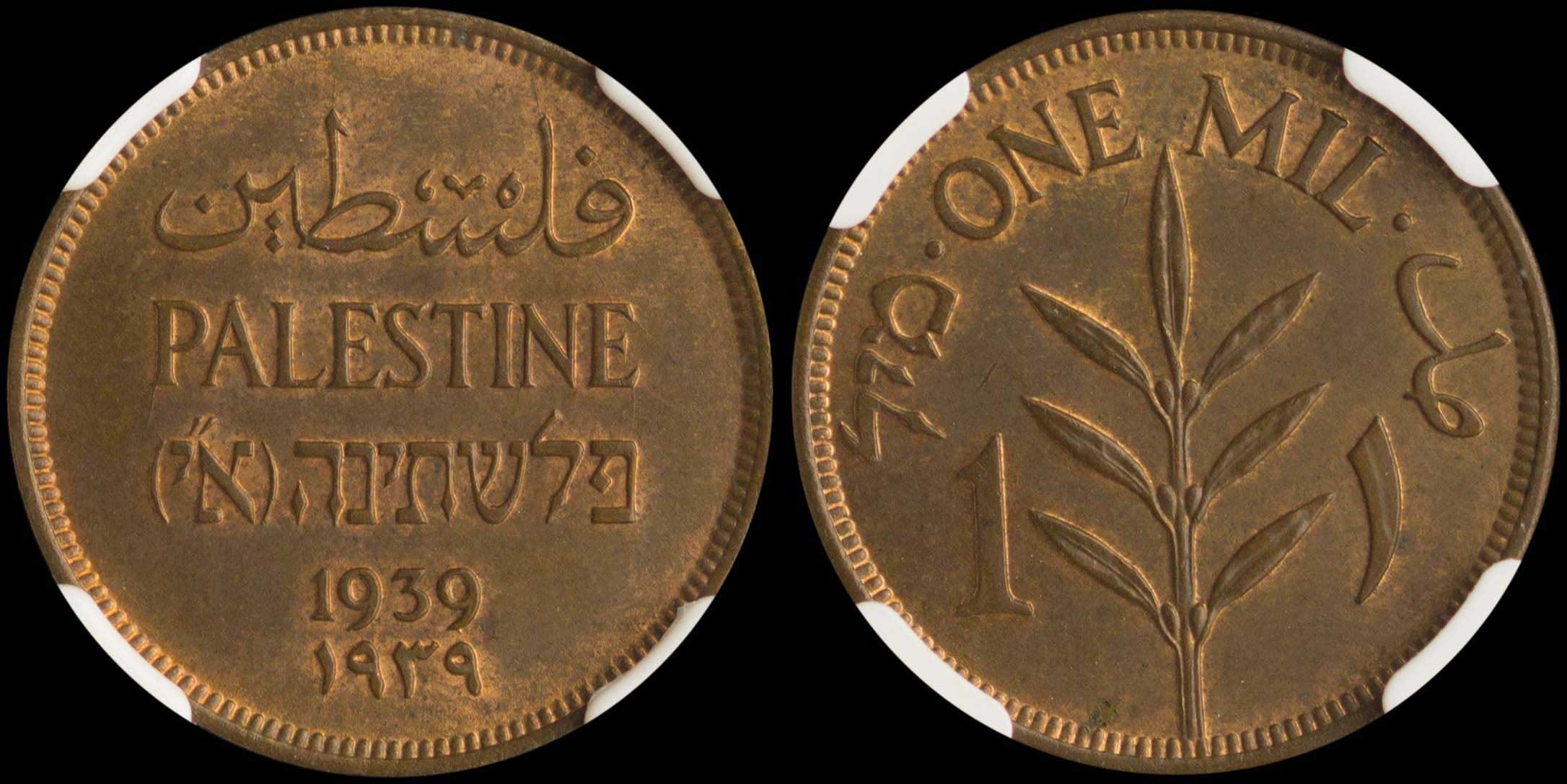 Lot 07346