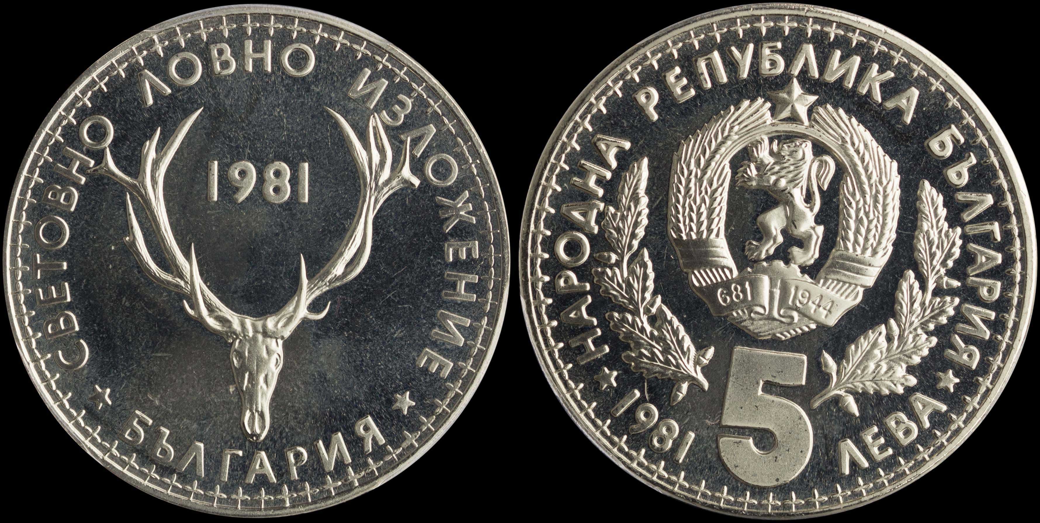 Lot 06981