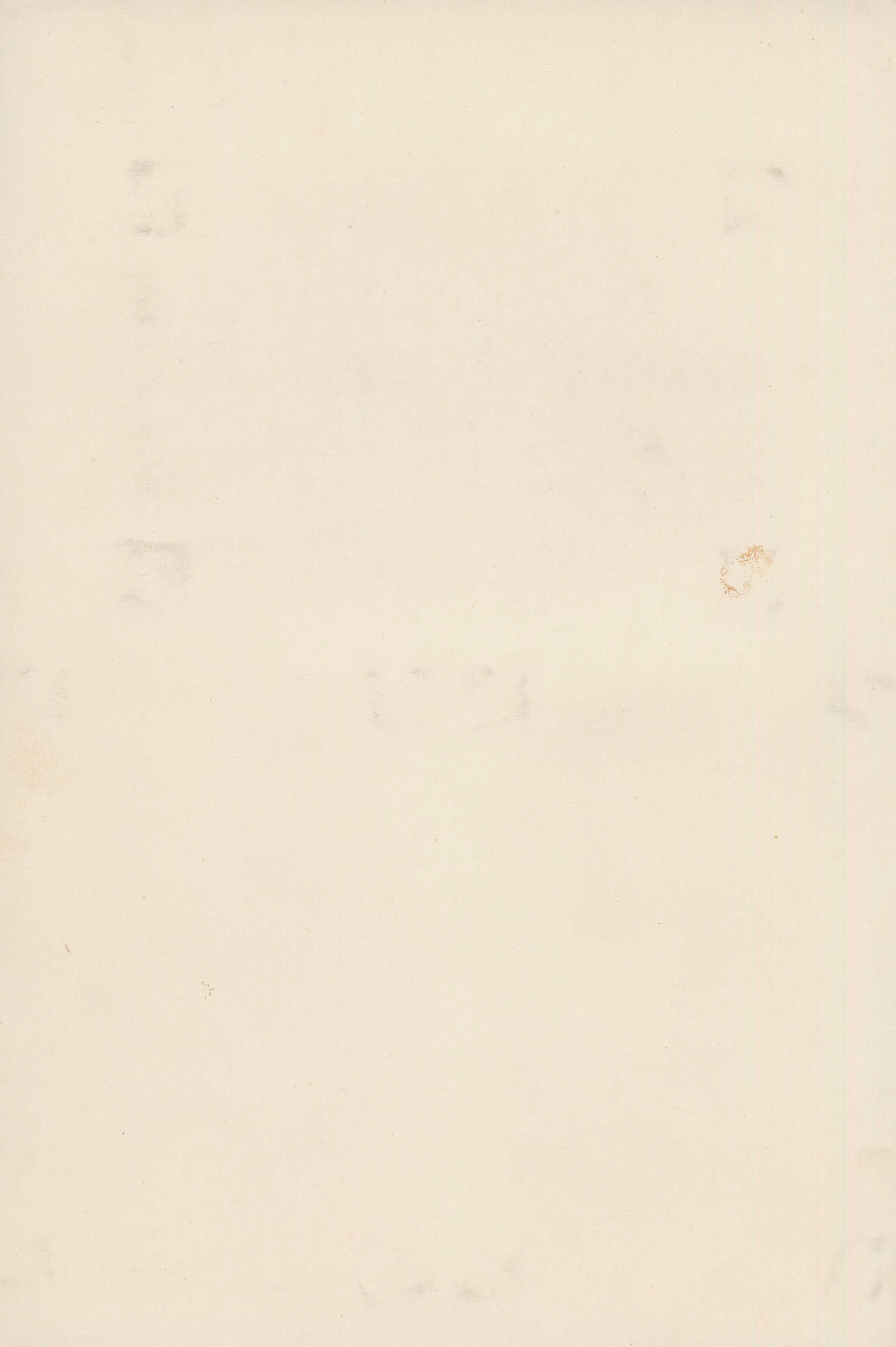 Lot 06217