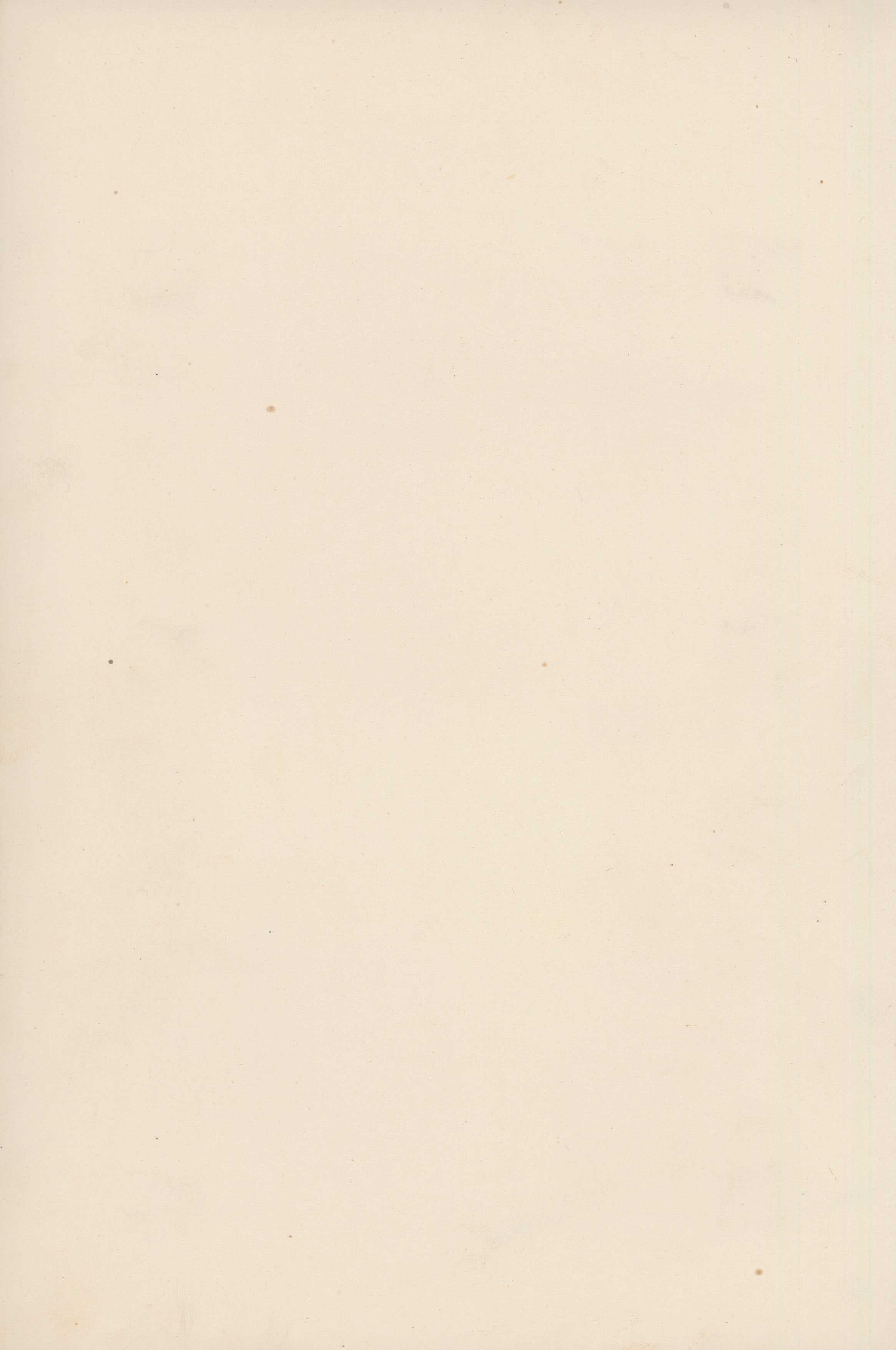 Lot 06218