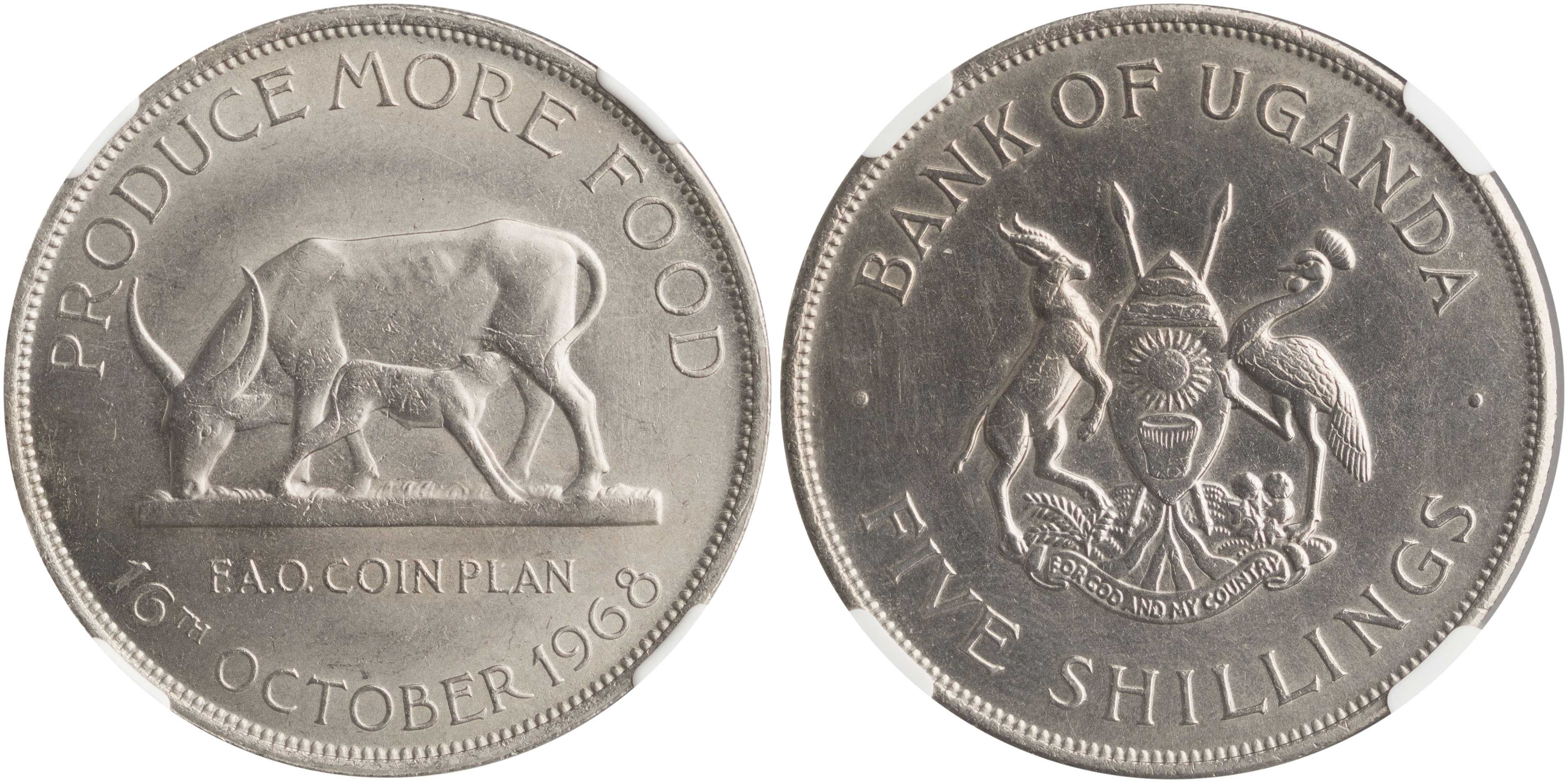 Lot 07416