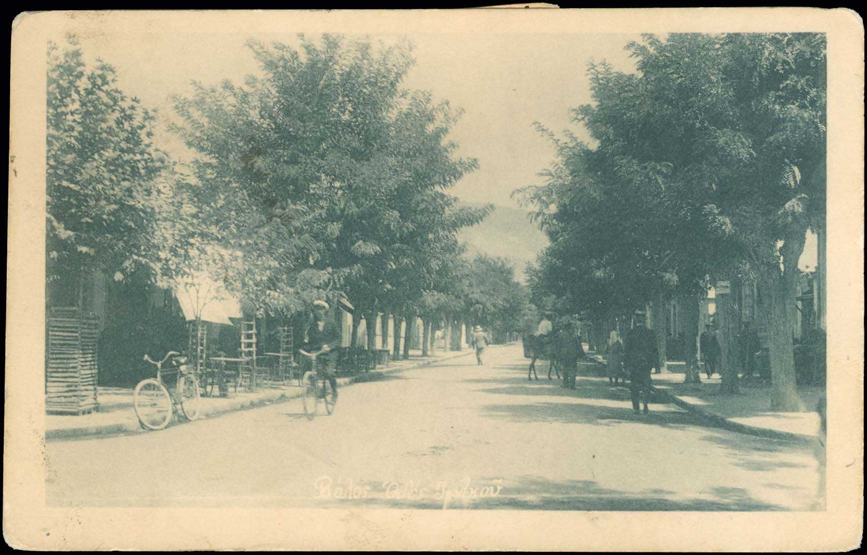 Lot 00493