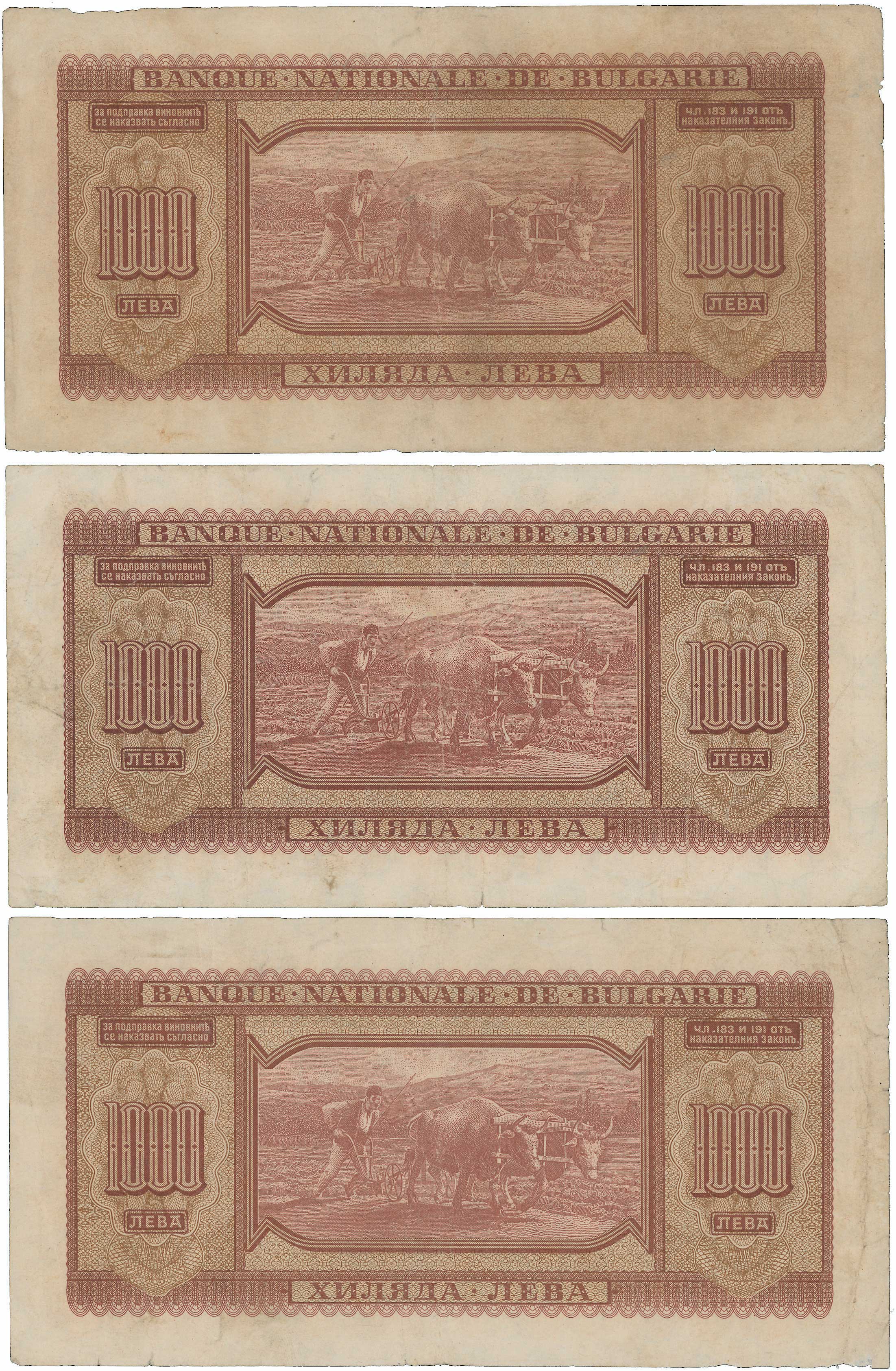 Lot 06833