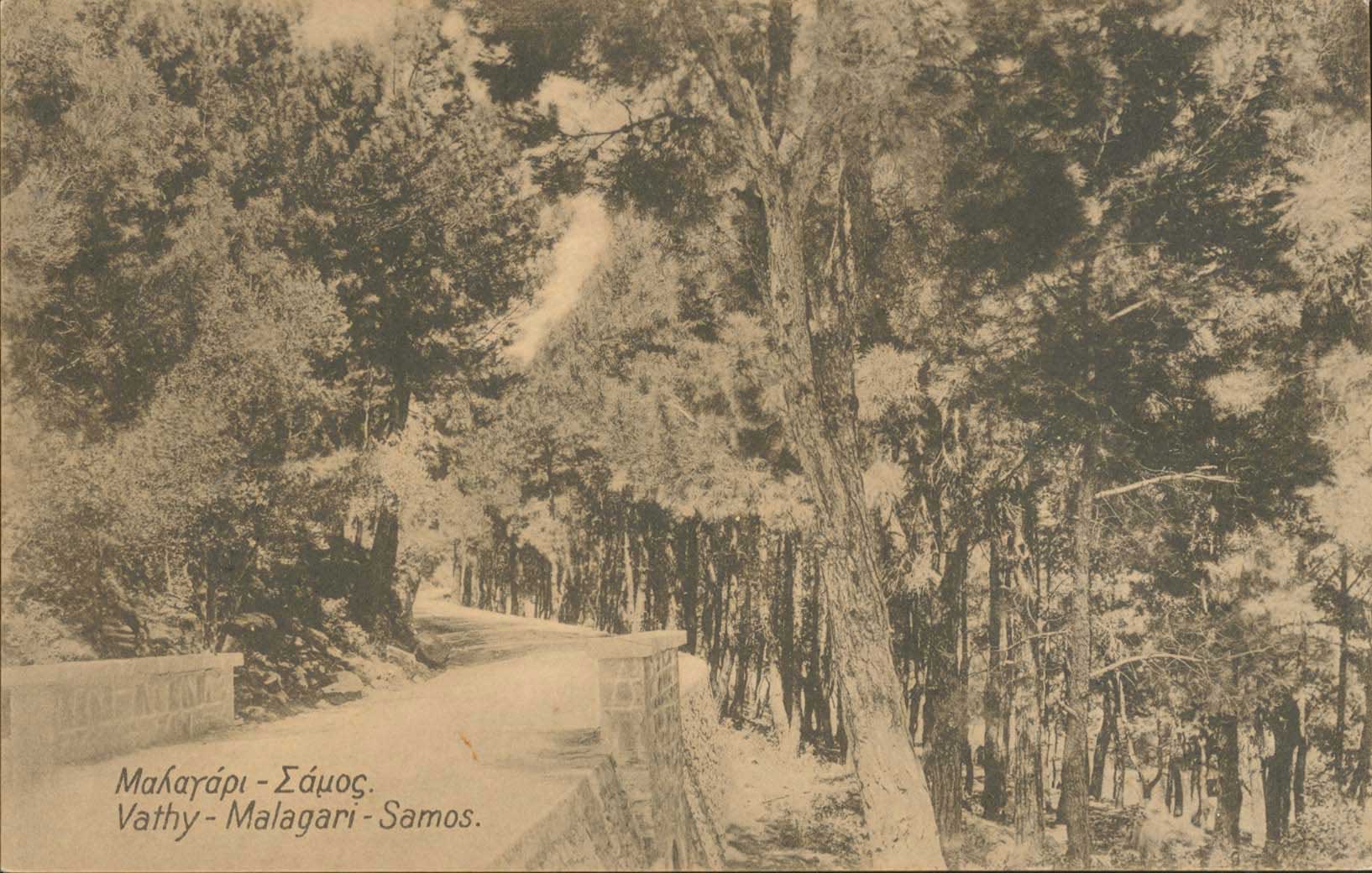 Lot 01391