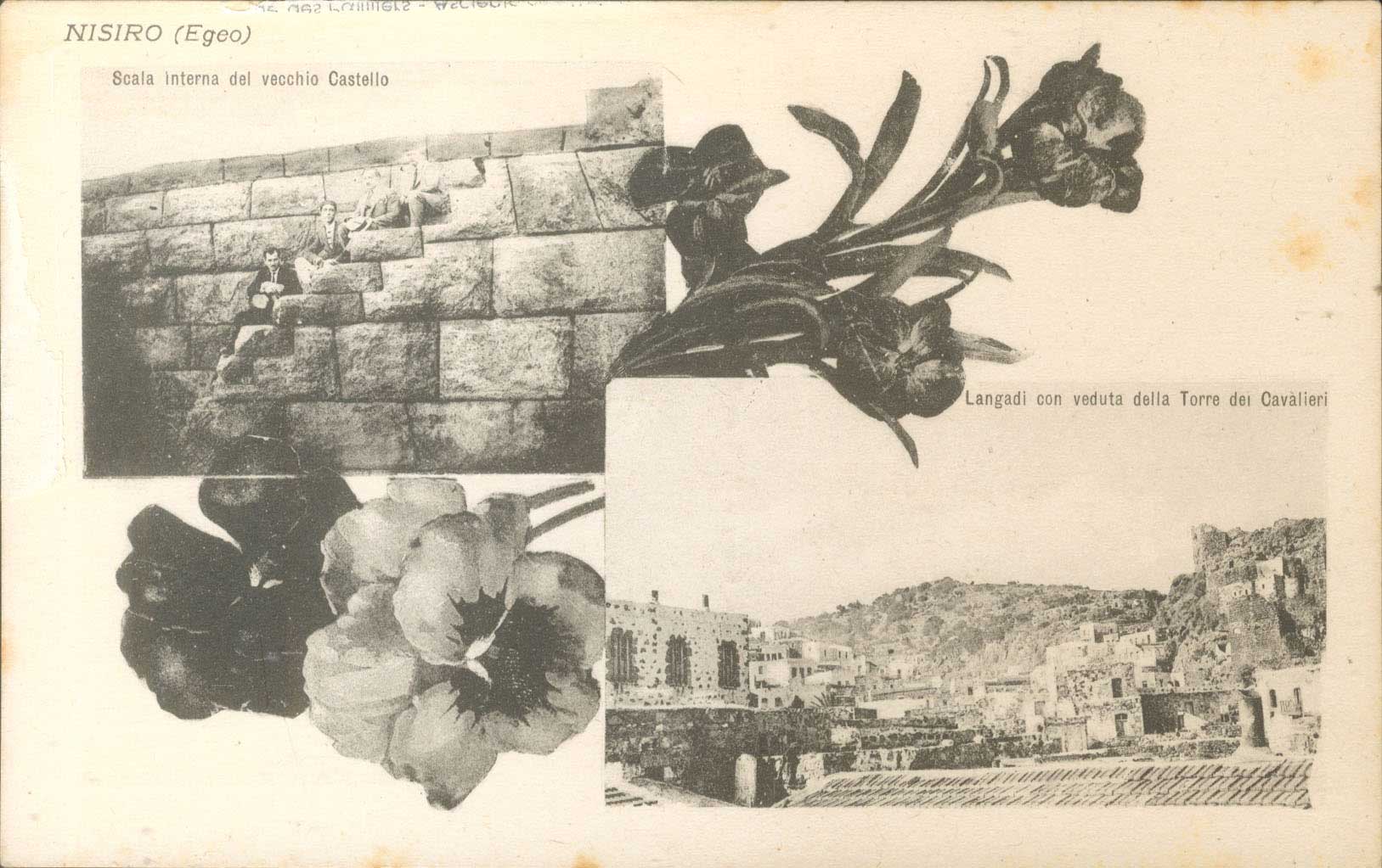 Lot 01290