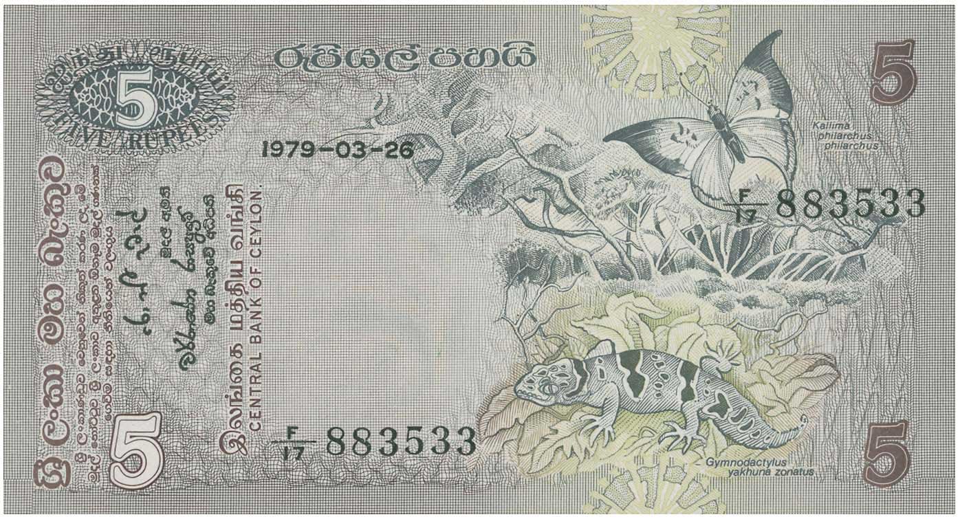 Lot 07554