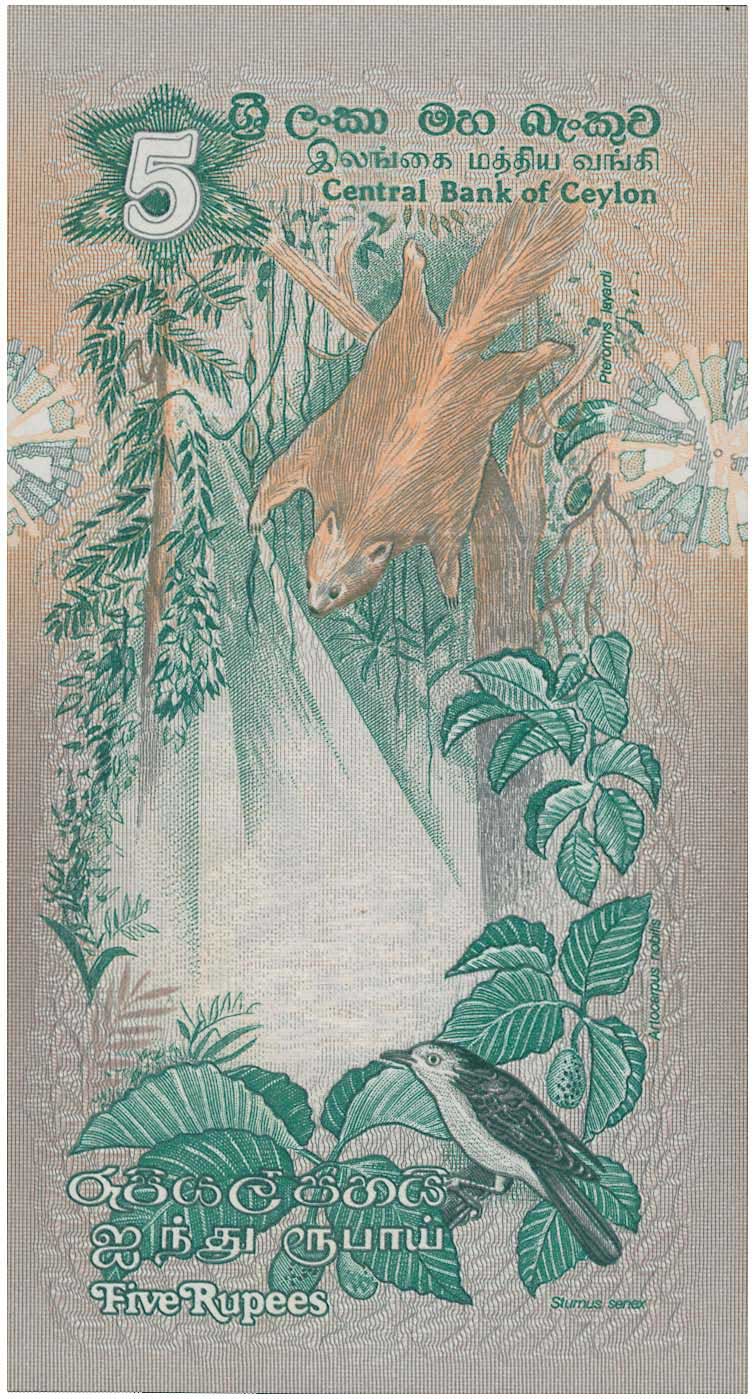 Lot 07554
