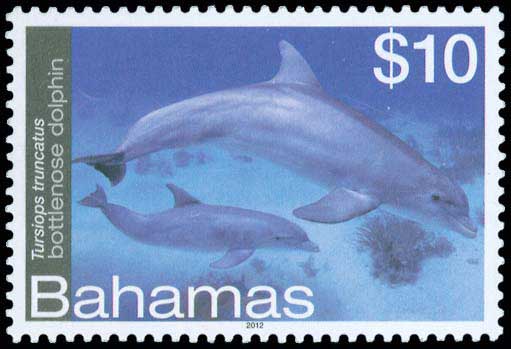 Lot 01655