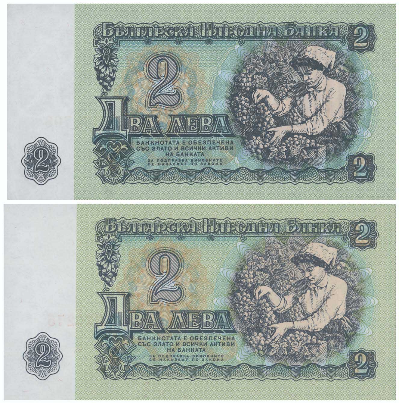 Lot 03317