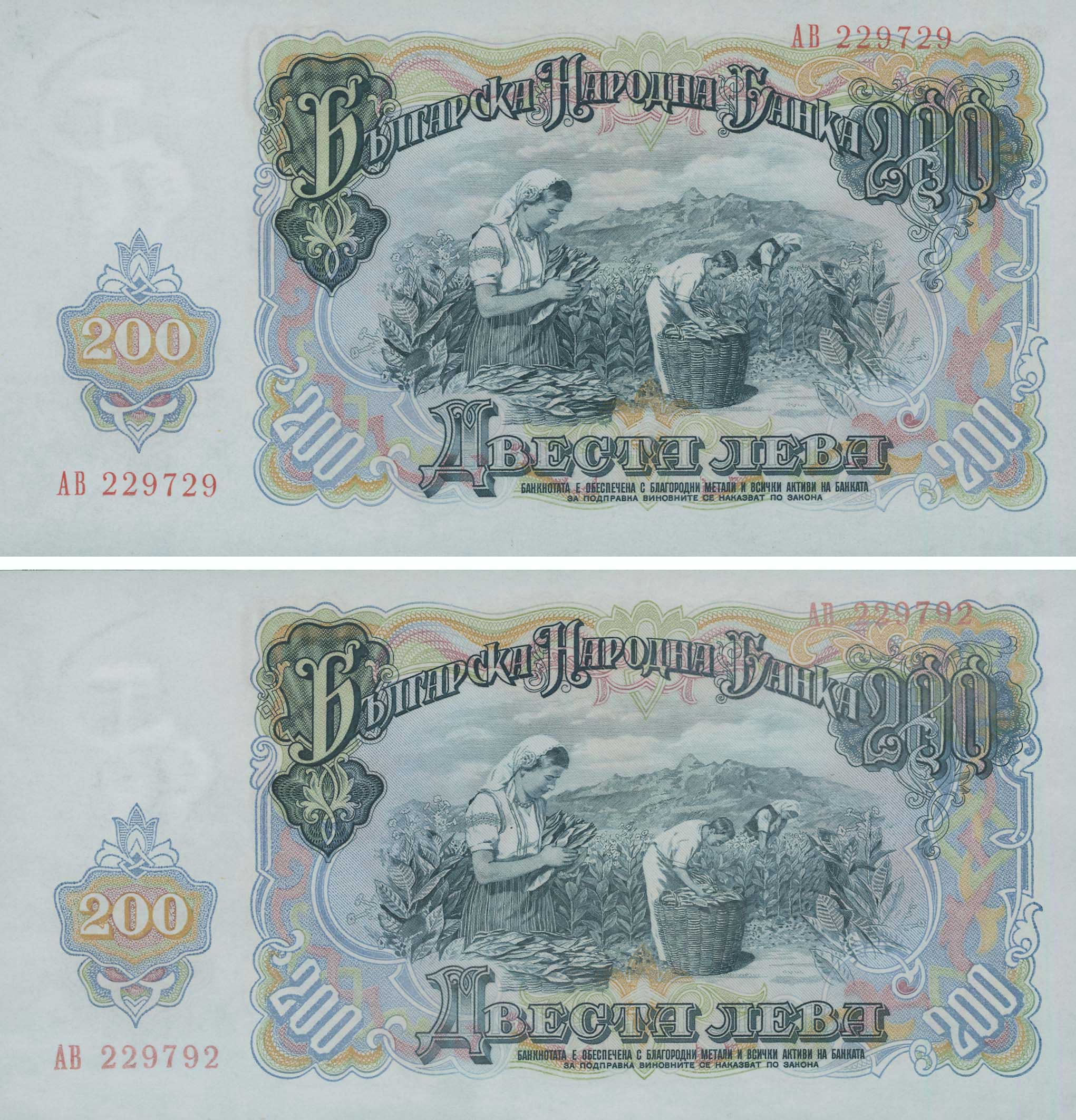 Lot 03308