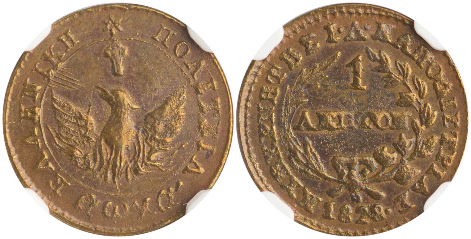 Lot 01001