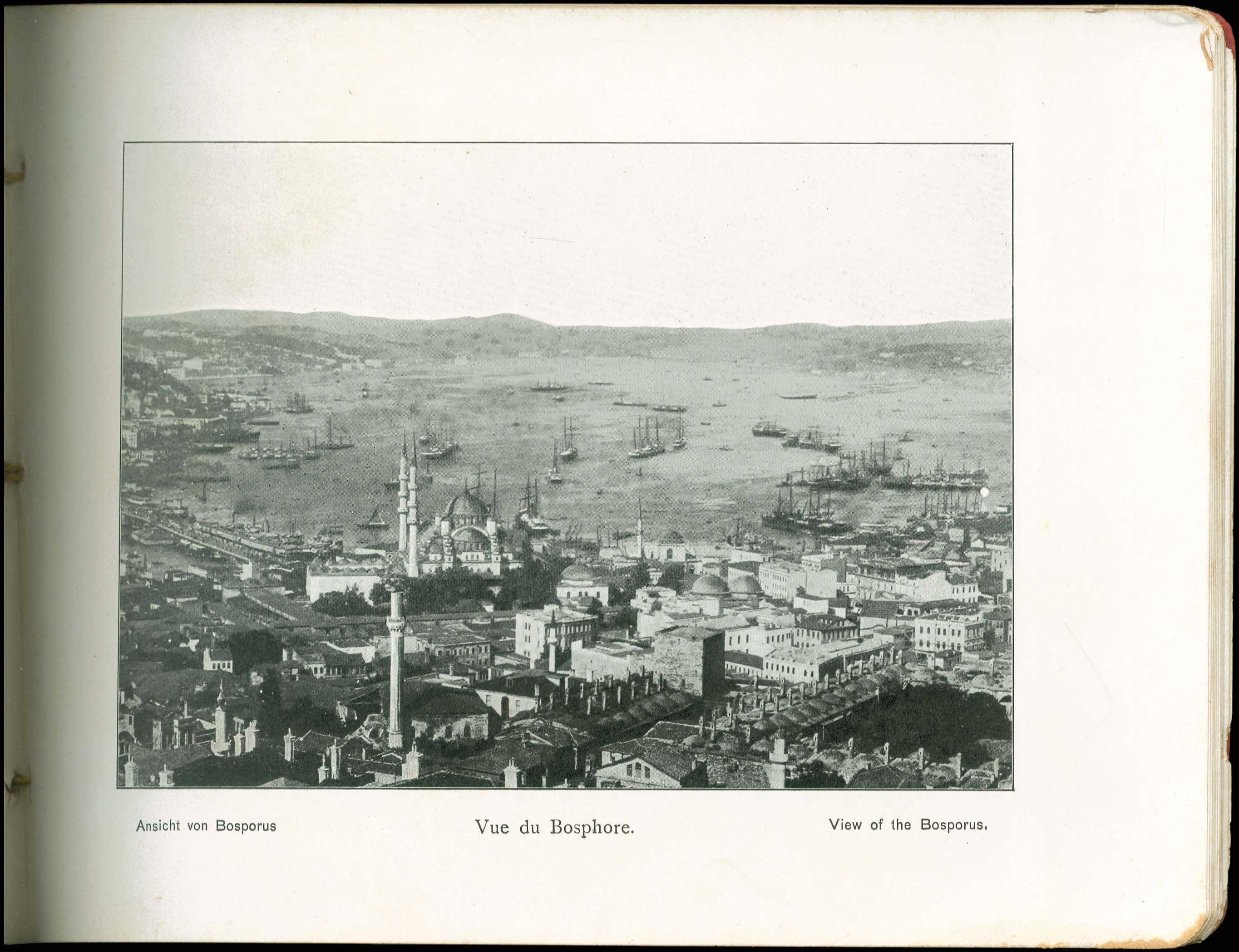 Lot 08253