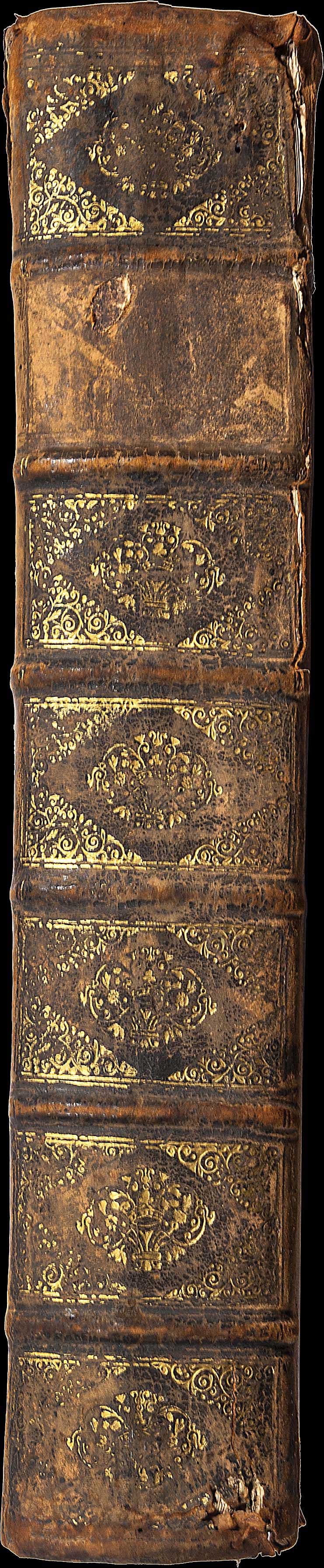 Lot 08020