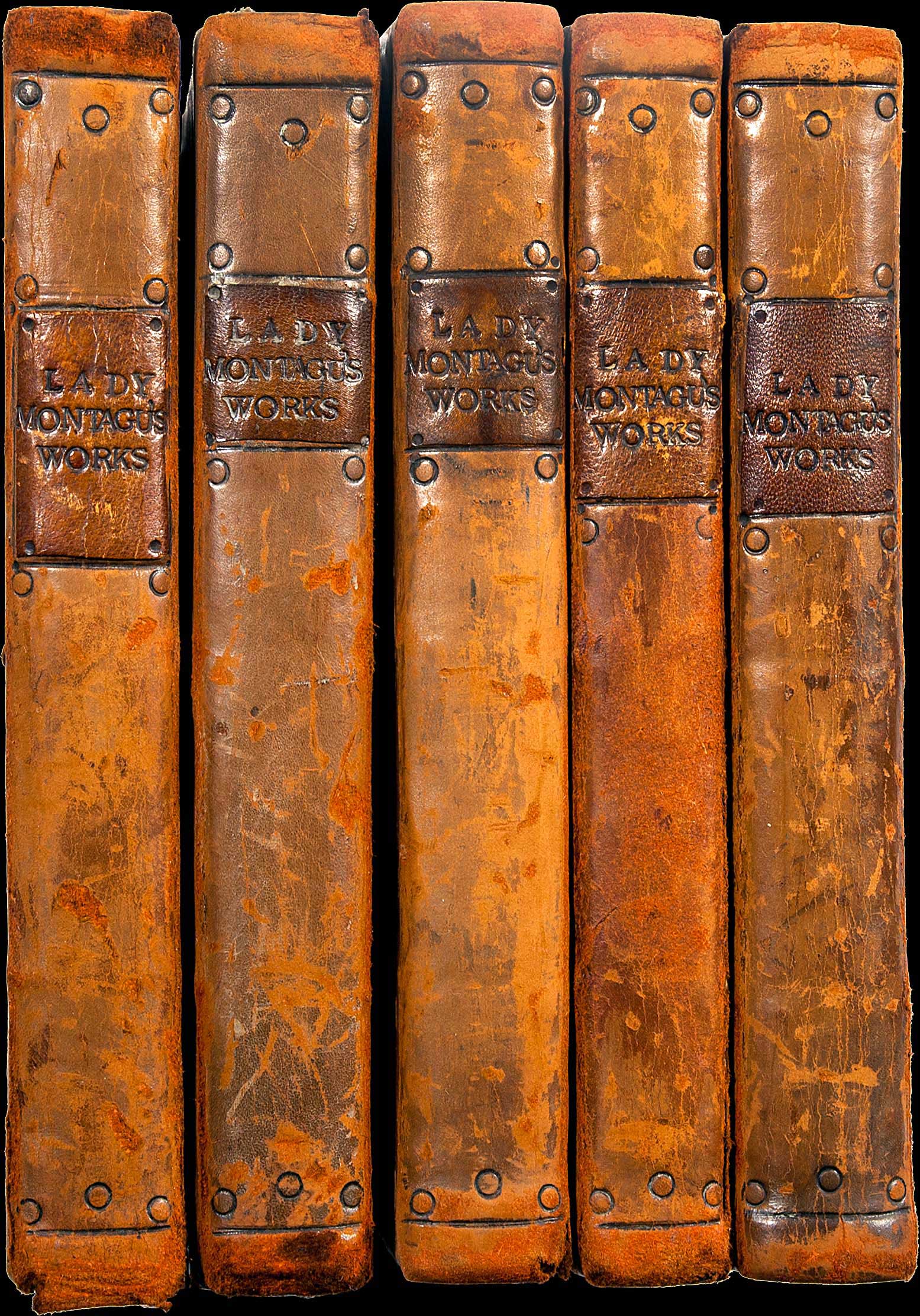 Lot 08039