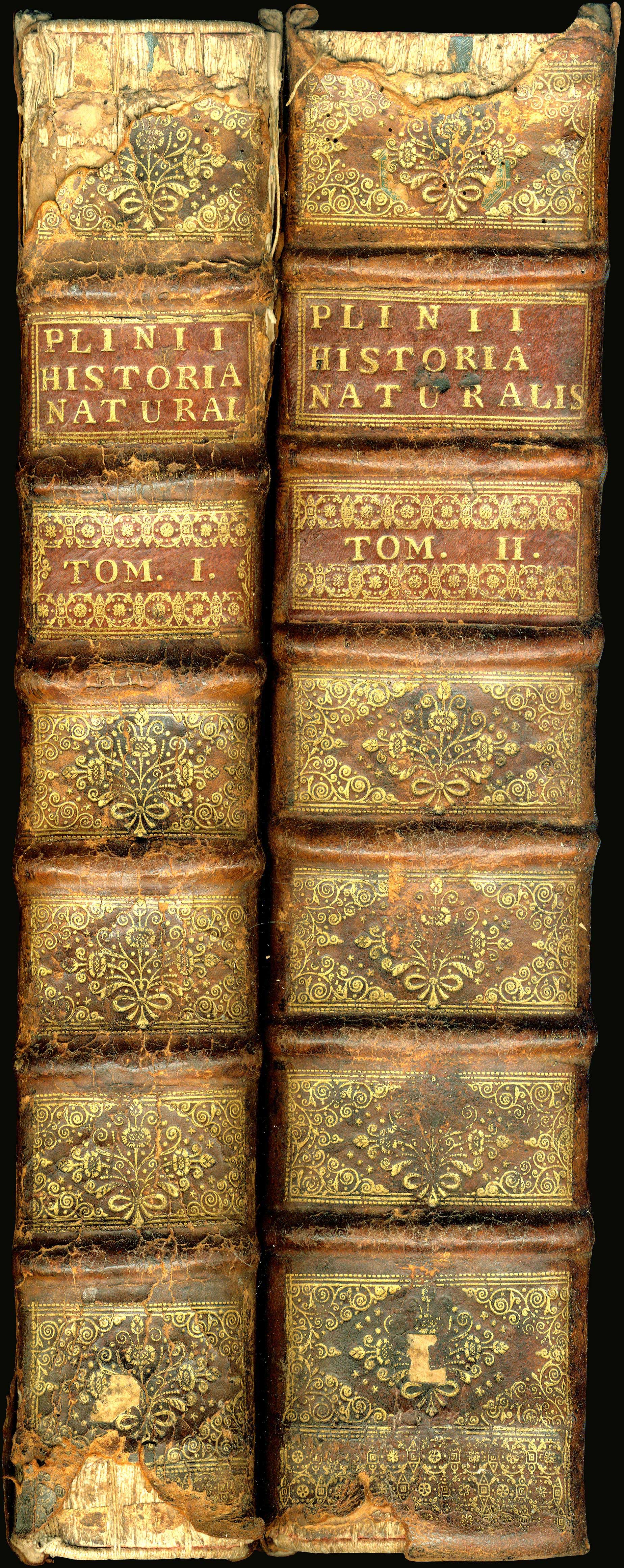Lot 08011