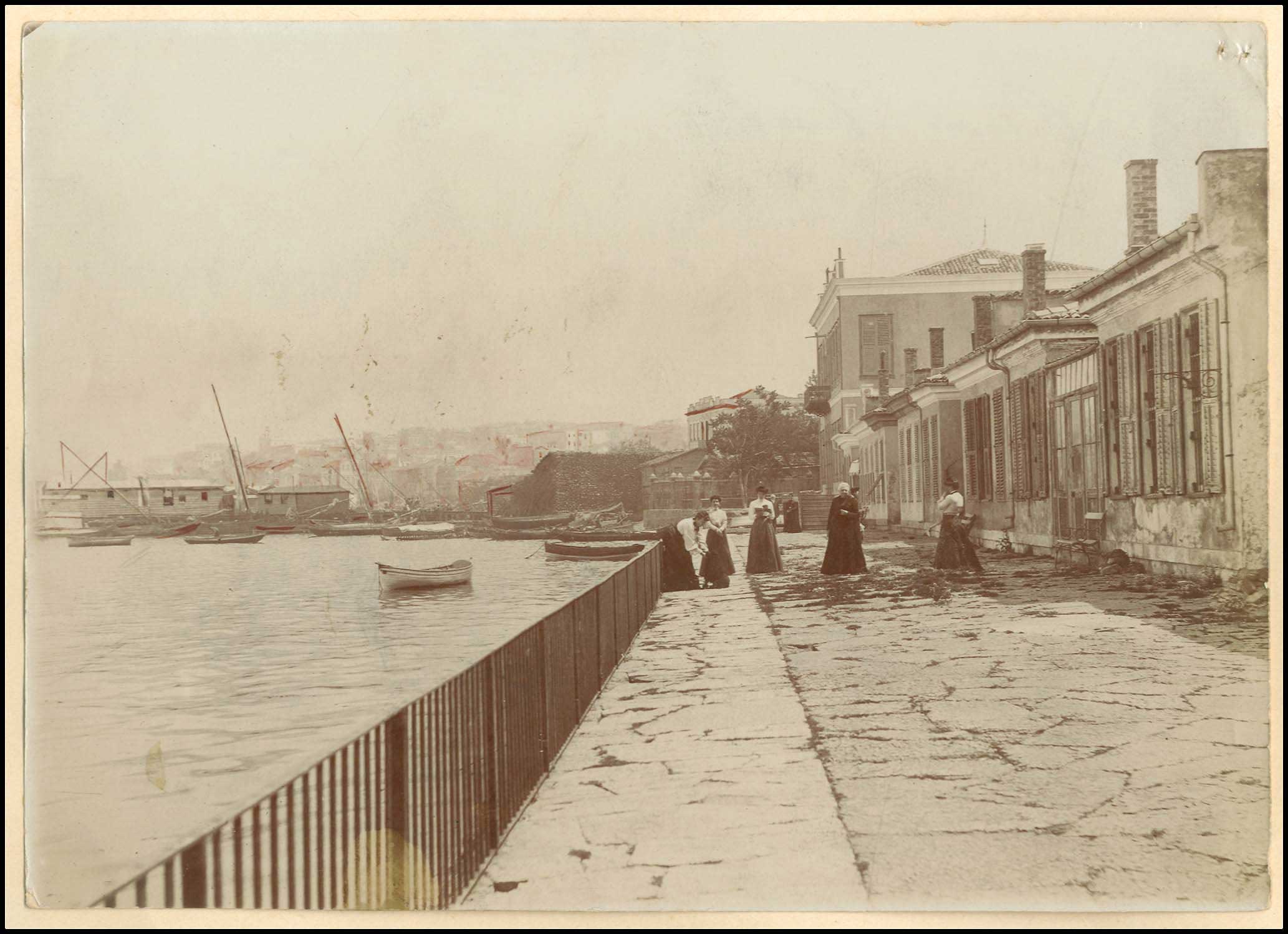 Lot 06684