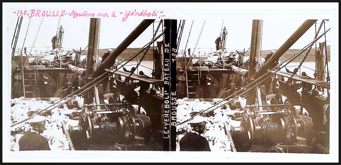 Lot 08751