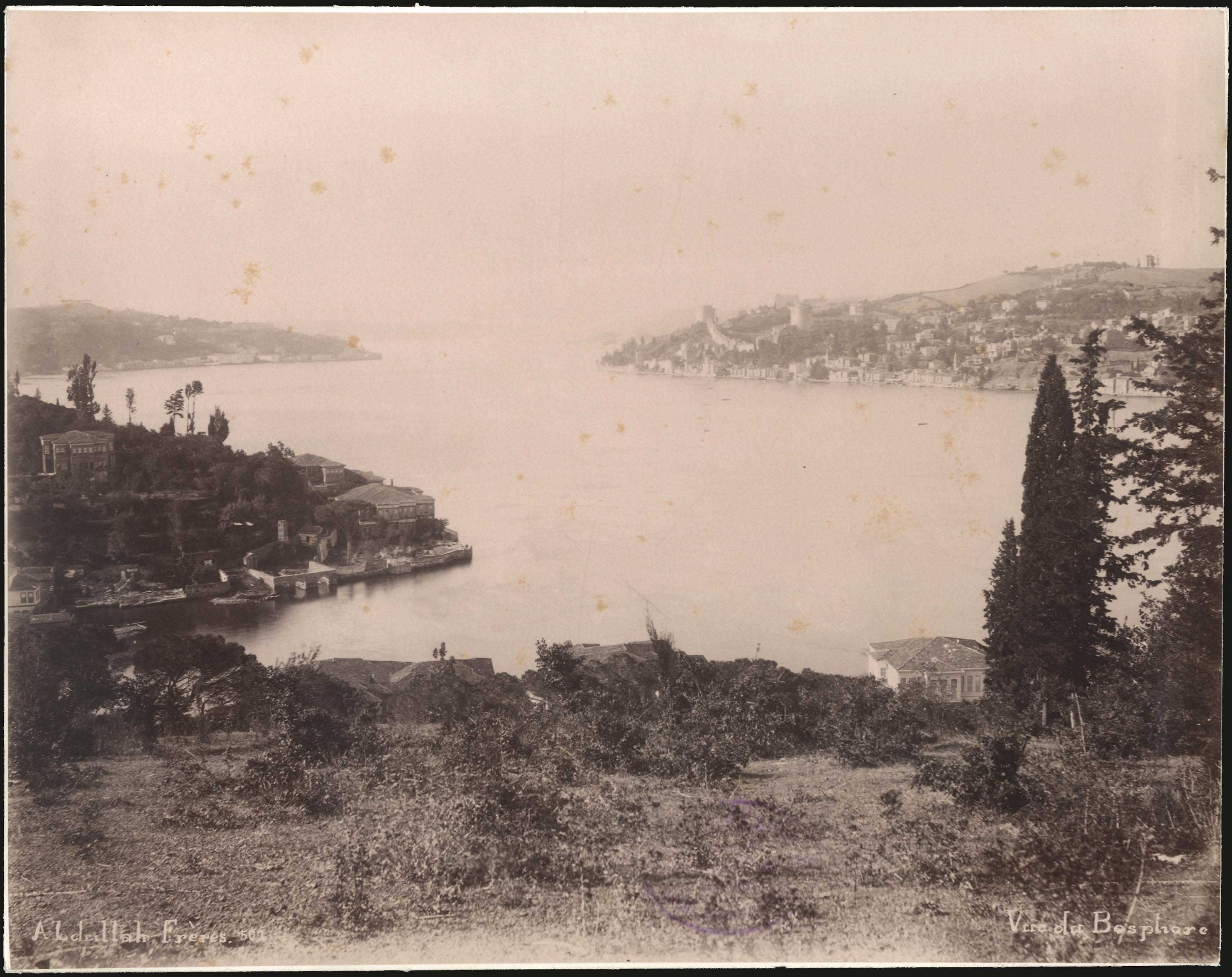 Lot 08998