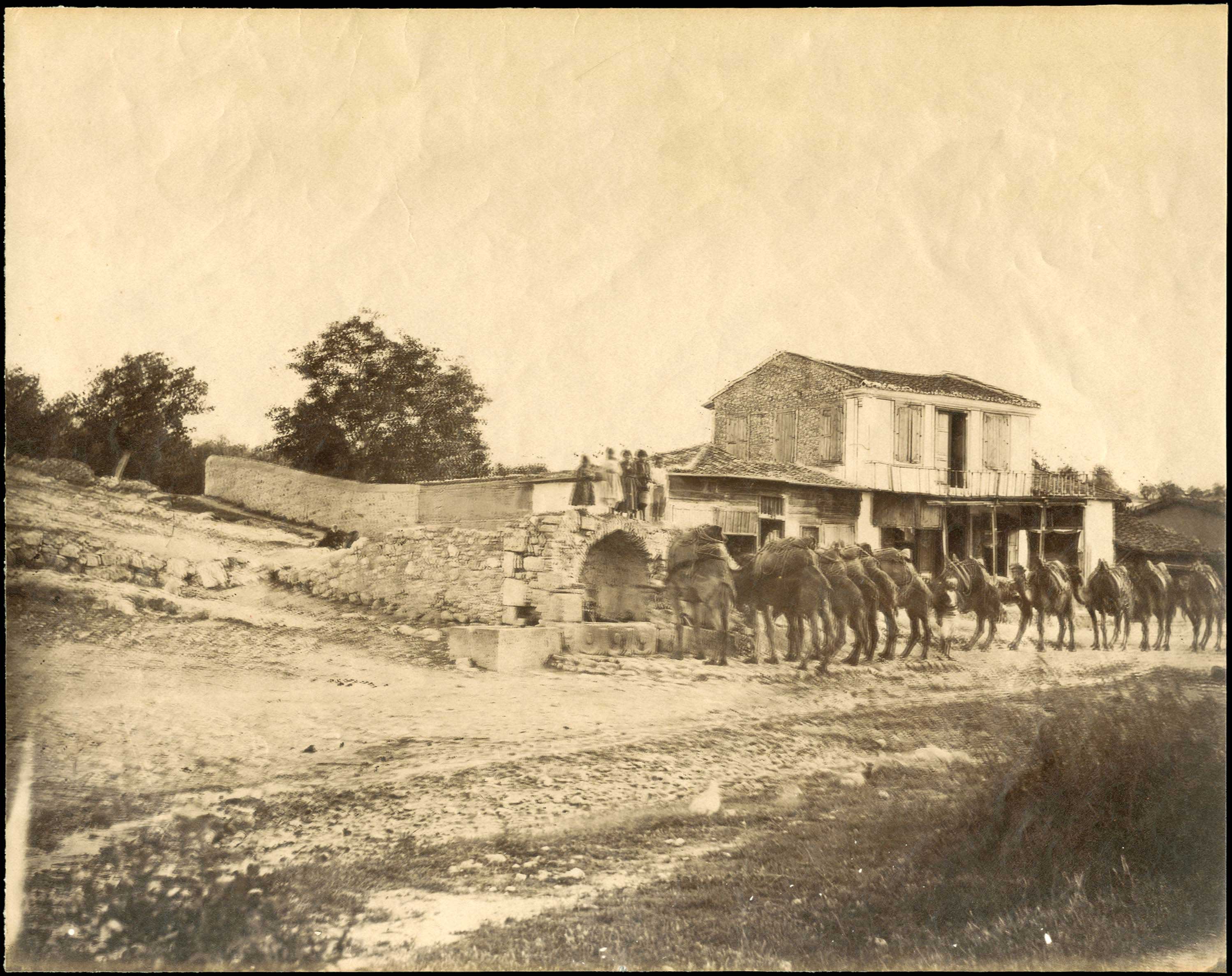 Lot 06679