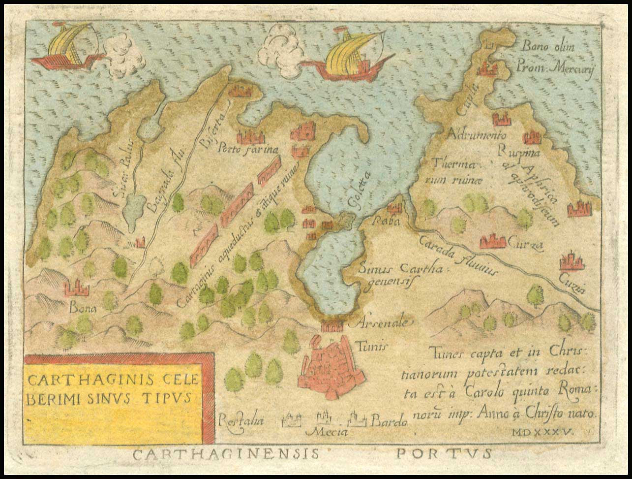 Lot 08977