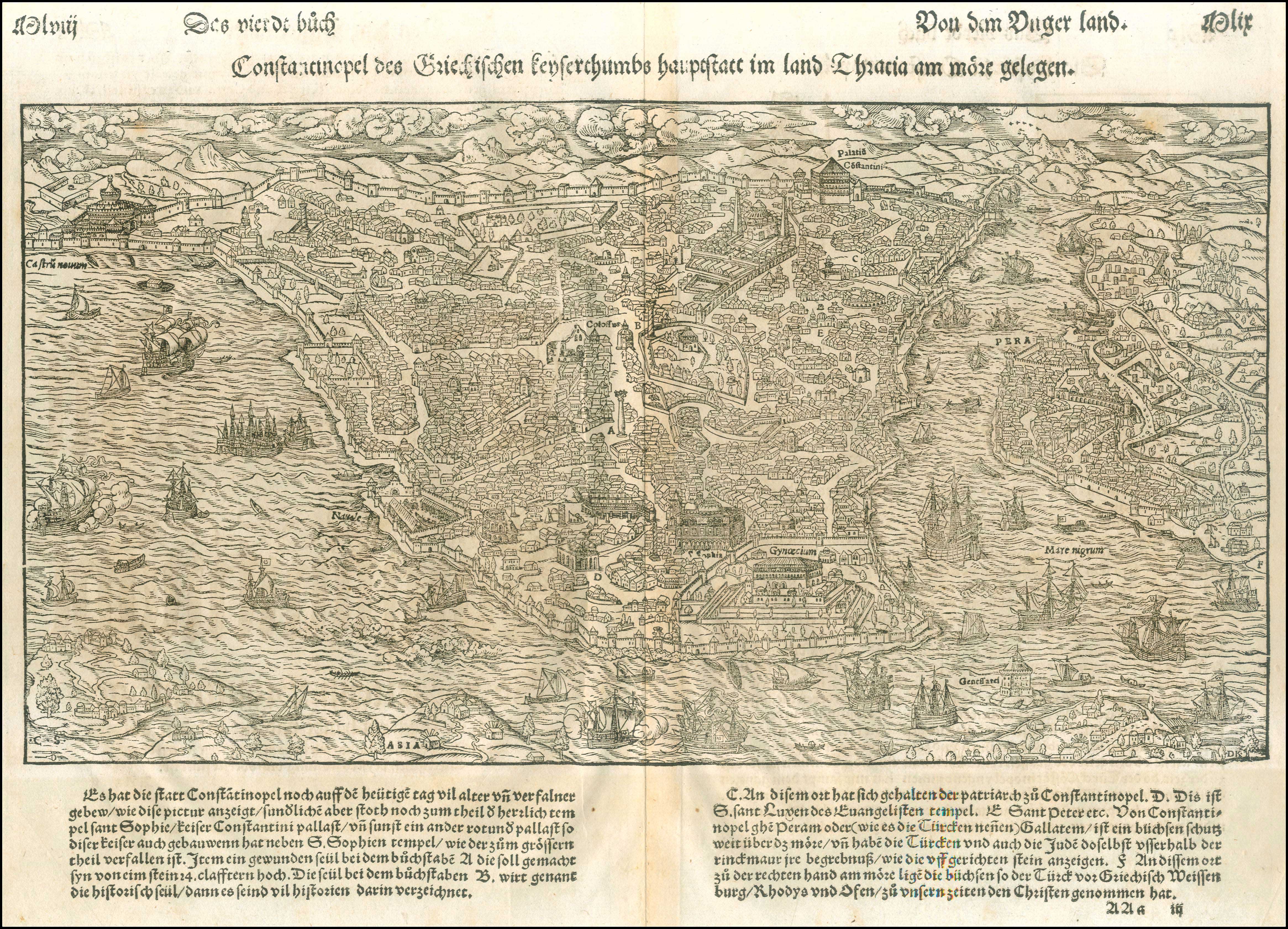 Lot 08905