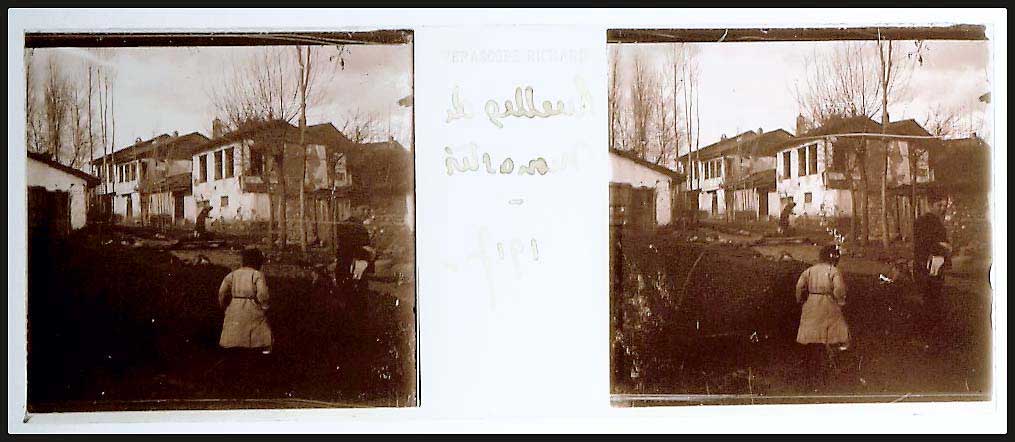 Lot 09498
