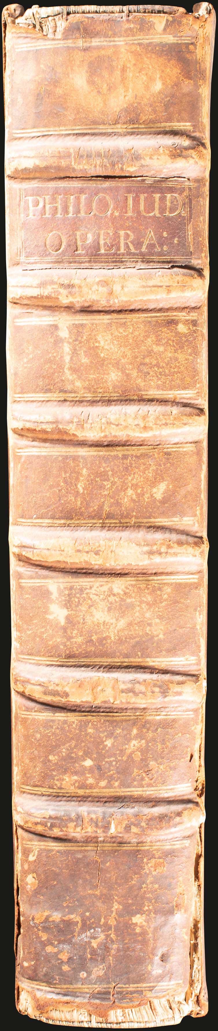 Lot 08006