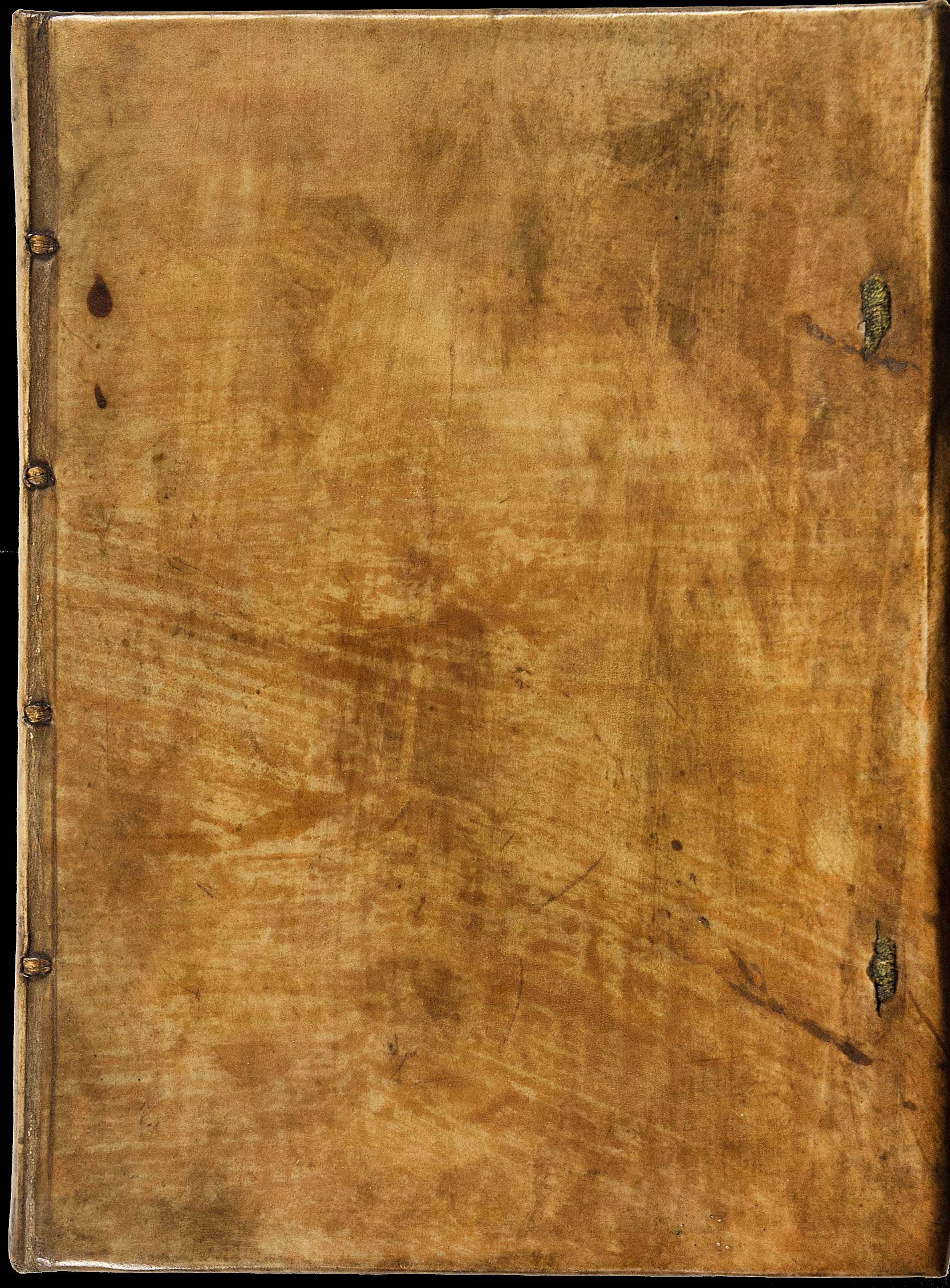 Lot 08012