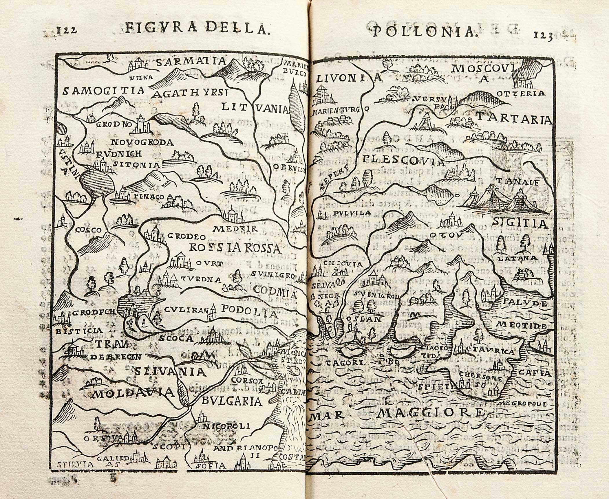 Lot 08013