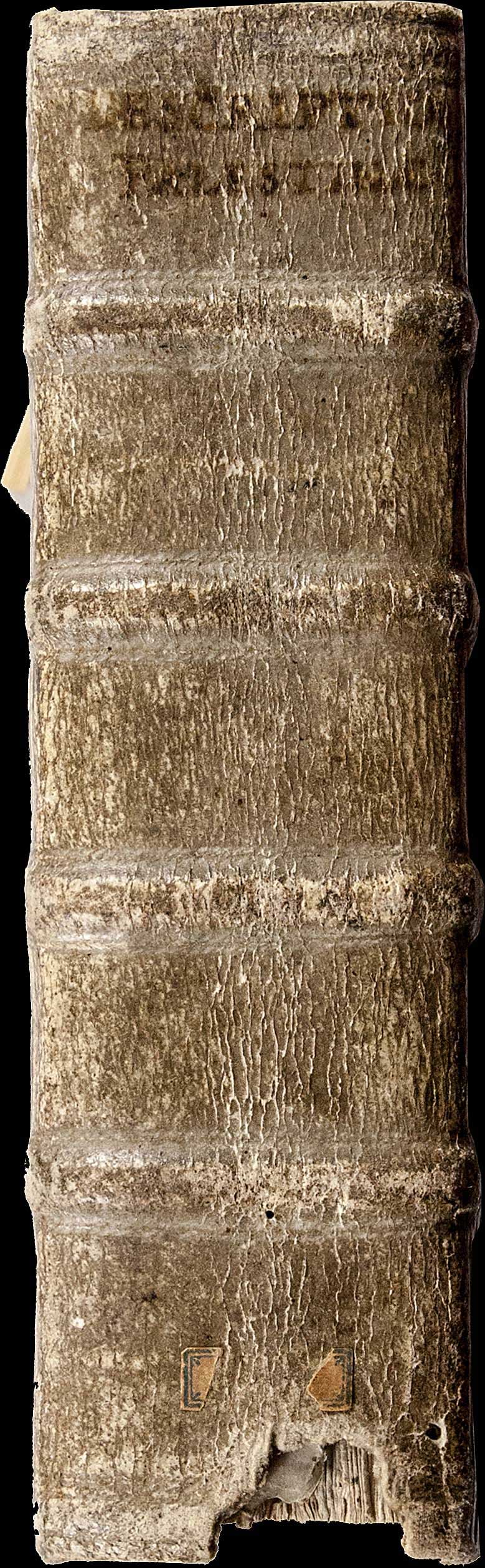 Lot 08026