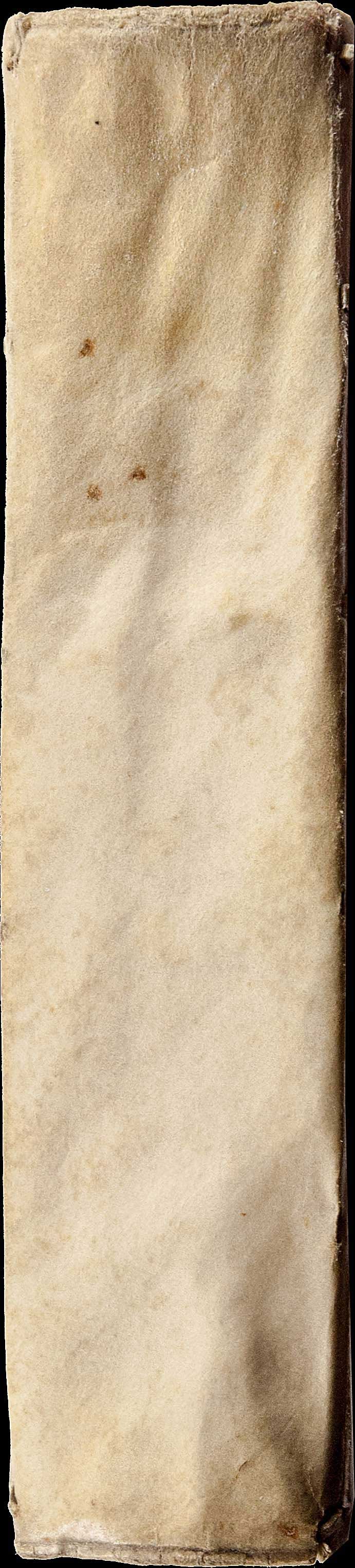 Lot 08036