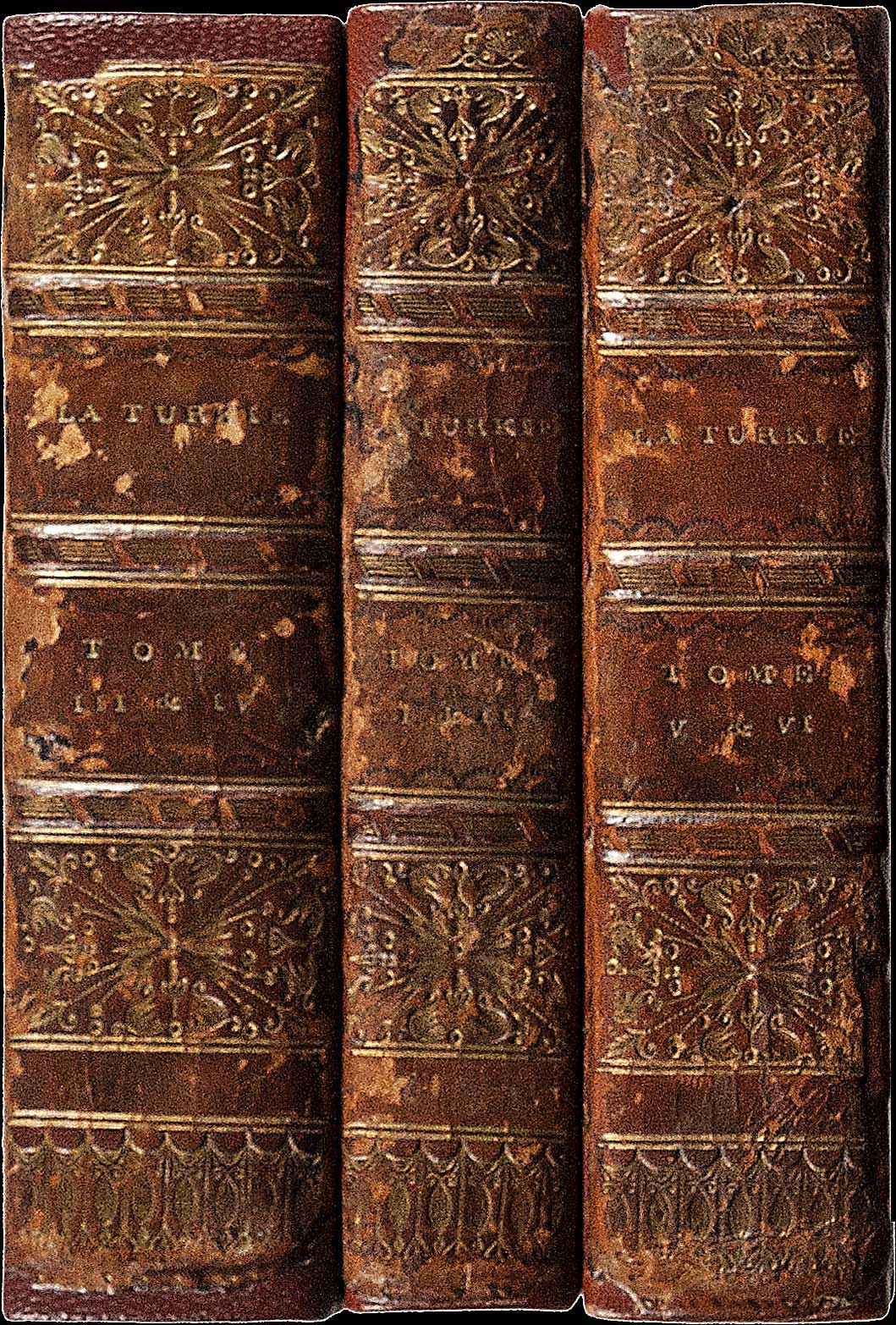 Lot 08081