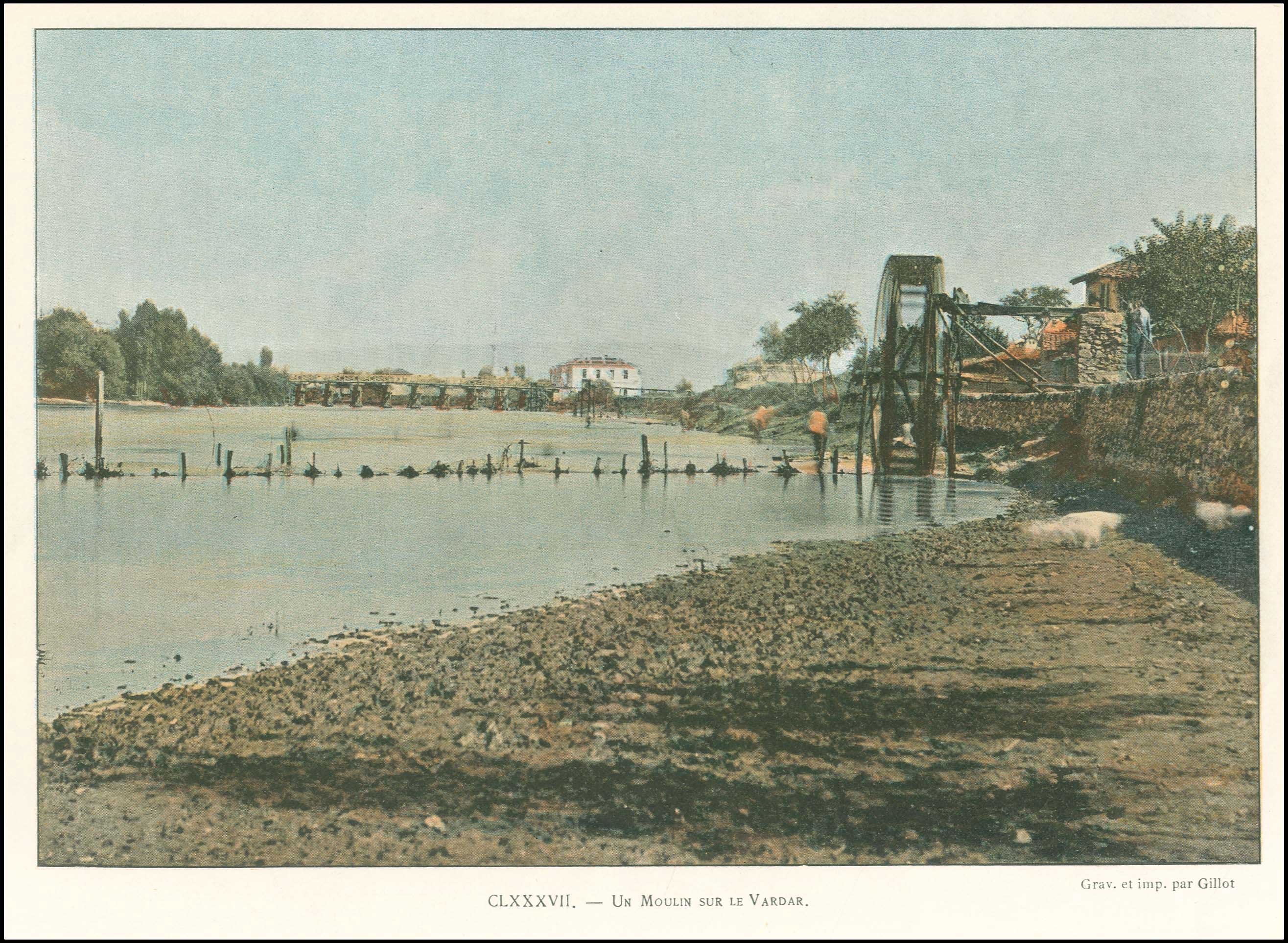 Lot 08843