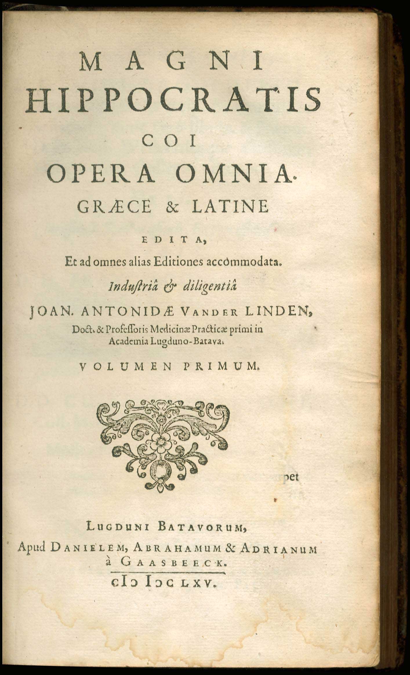 Lot 08017