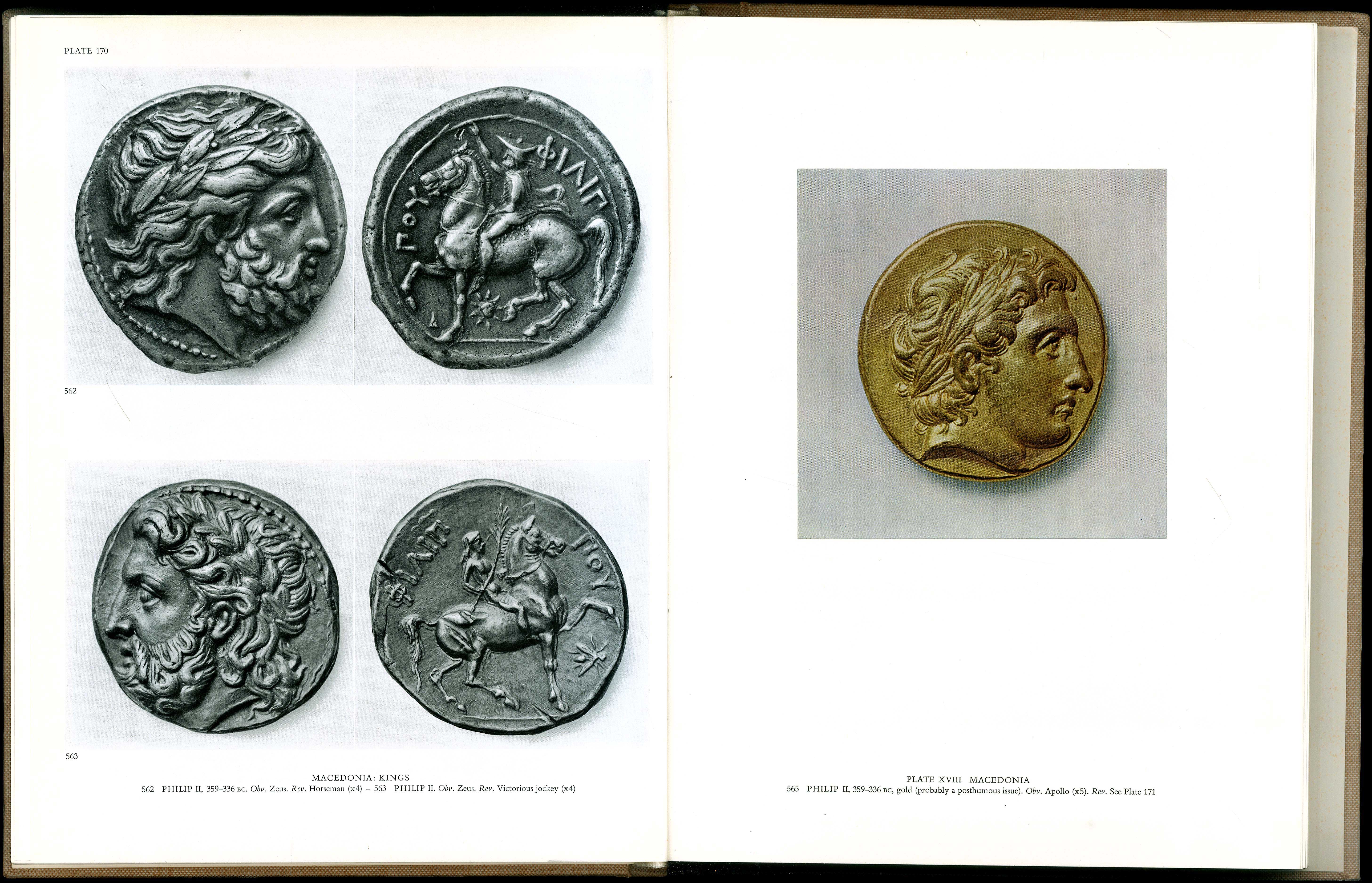 Lot 08217