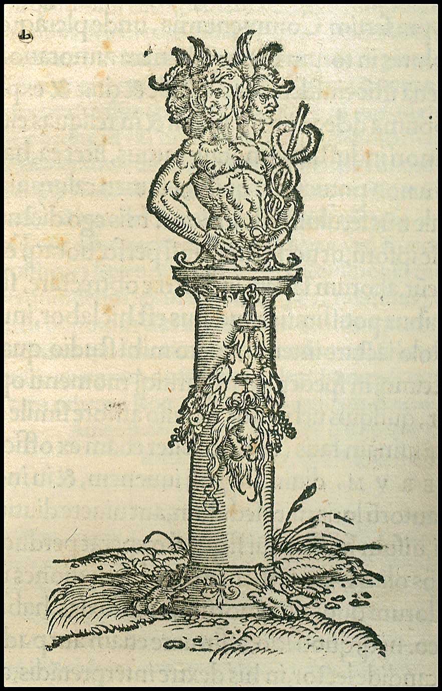 Lot 08002