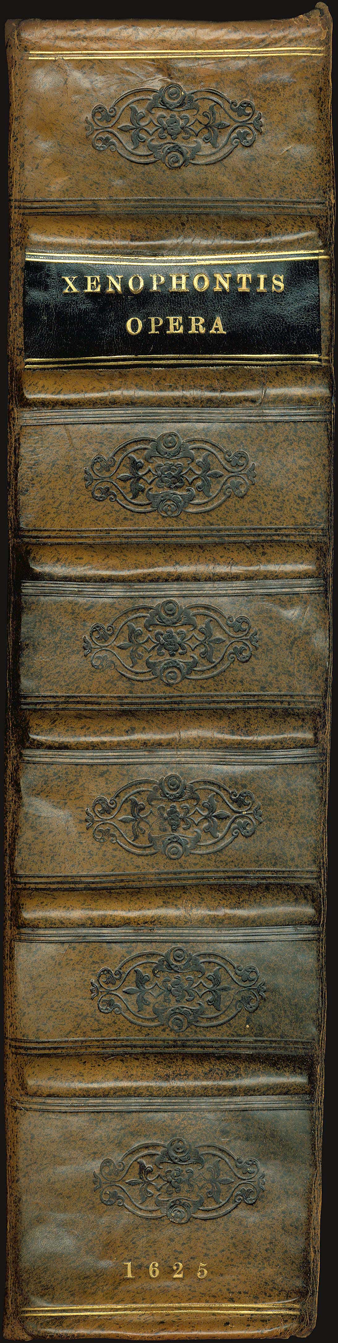 Lot 08007