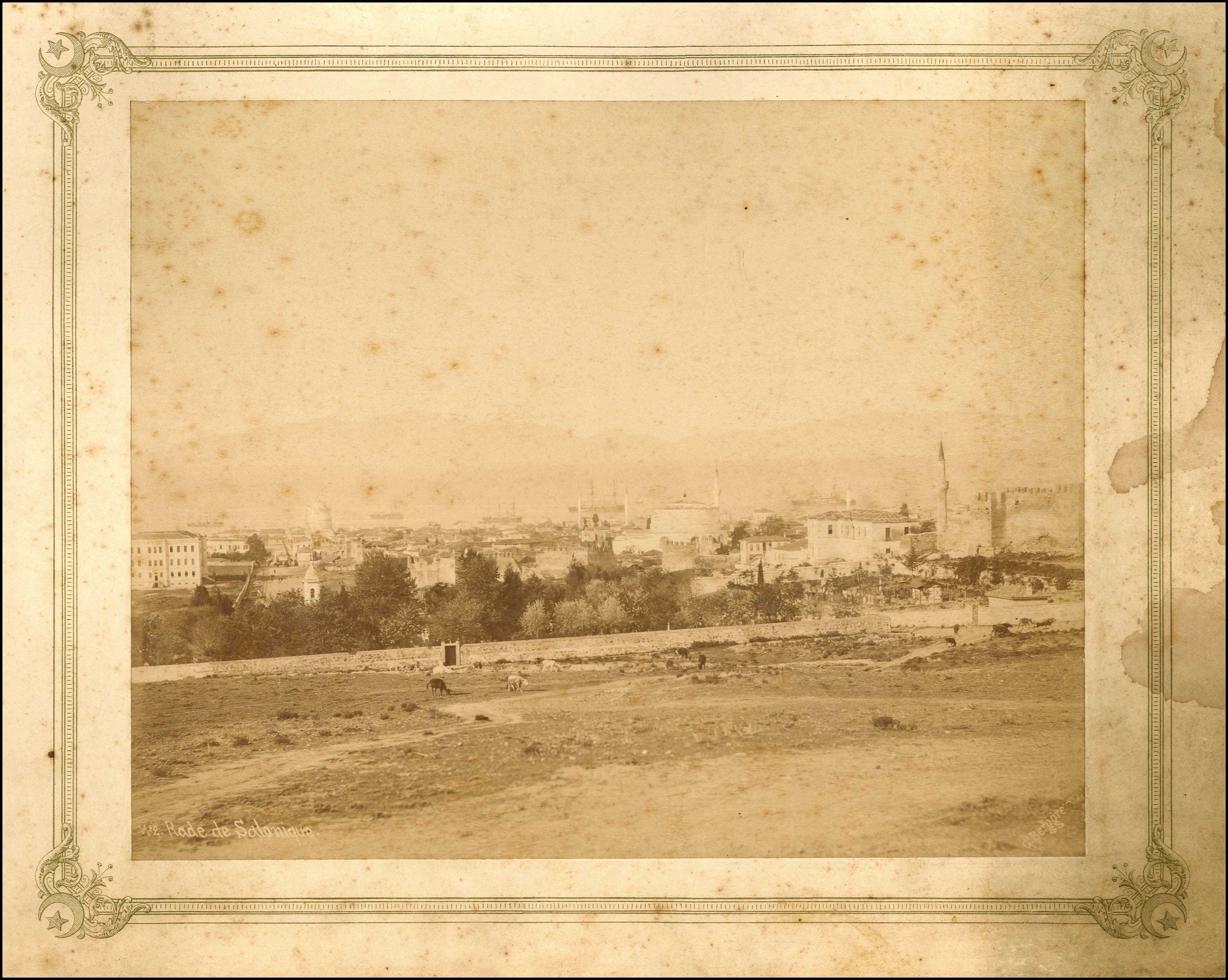 Lot 08884