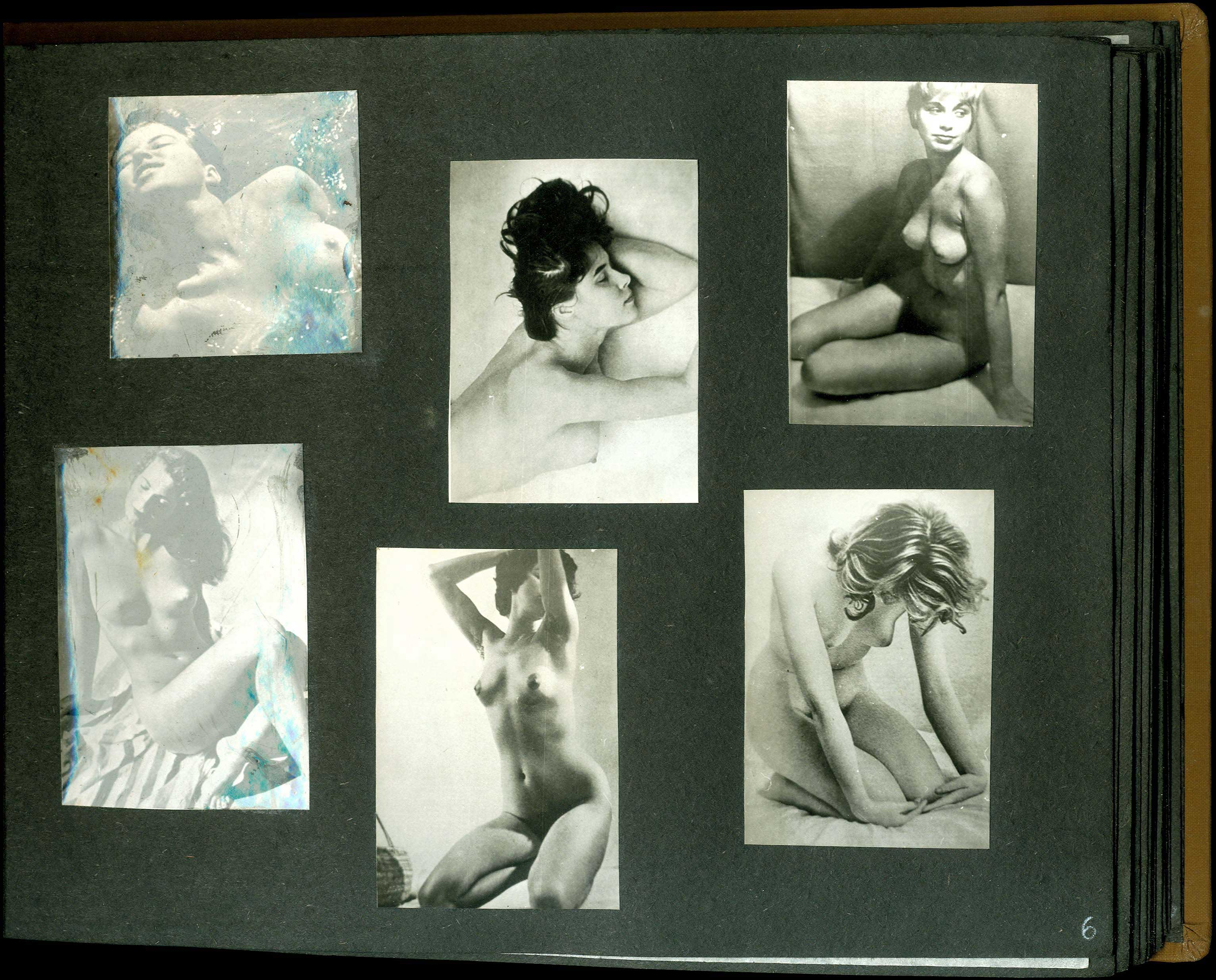 Lot 08828